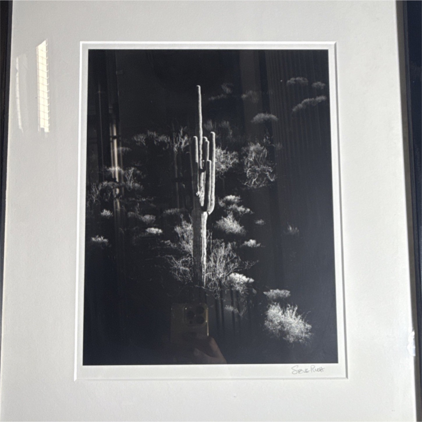 Steve Rude Signed Framed Black & White Landscape Photograph Cactus Desert Art