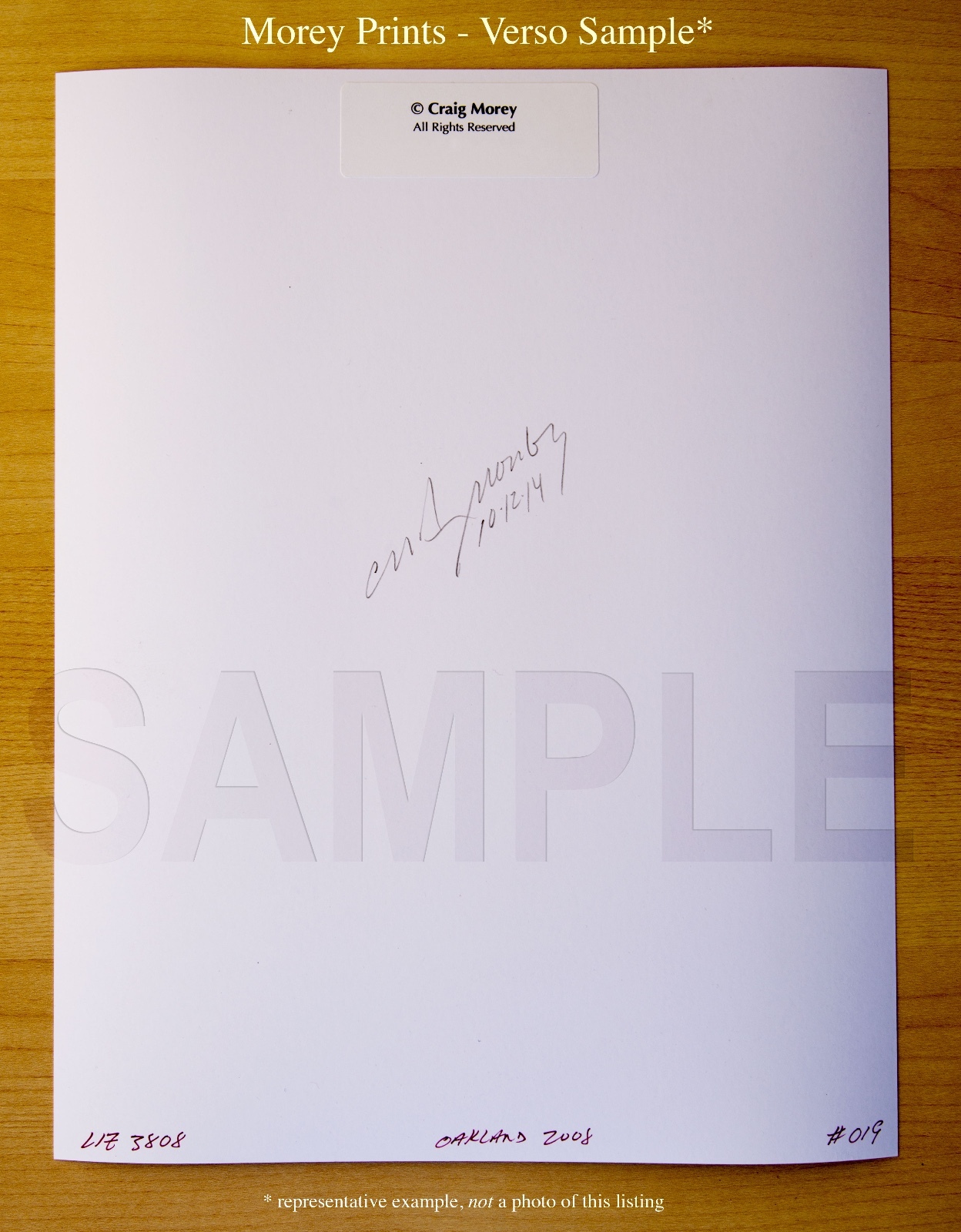 Eden Arya 5374BW Playboy Lingerie Model Hand-Signed 8.5×11 Photo by Craig Morey