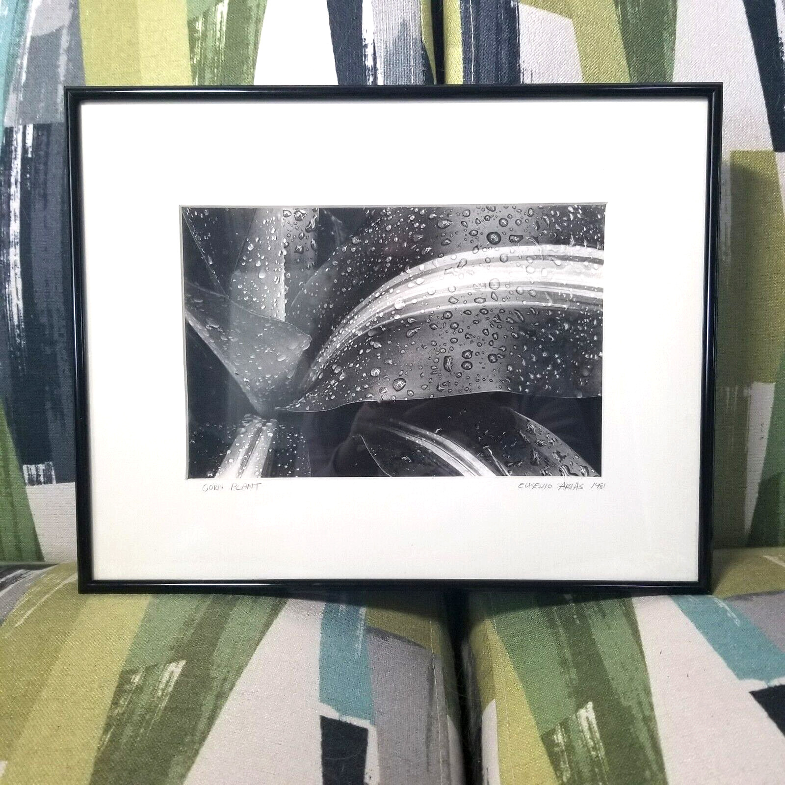 Vtg Black & White Corn Plant Photograph By Artist Matted Signed Dated And Framed