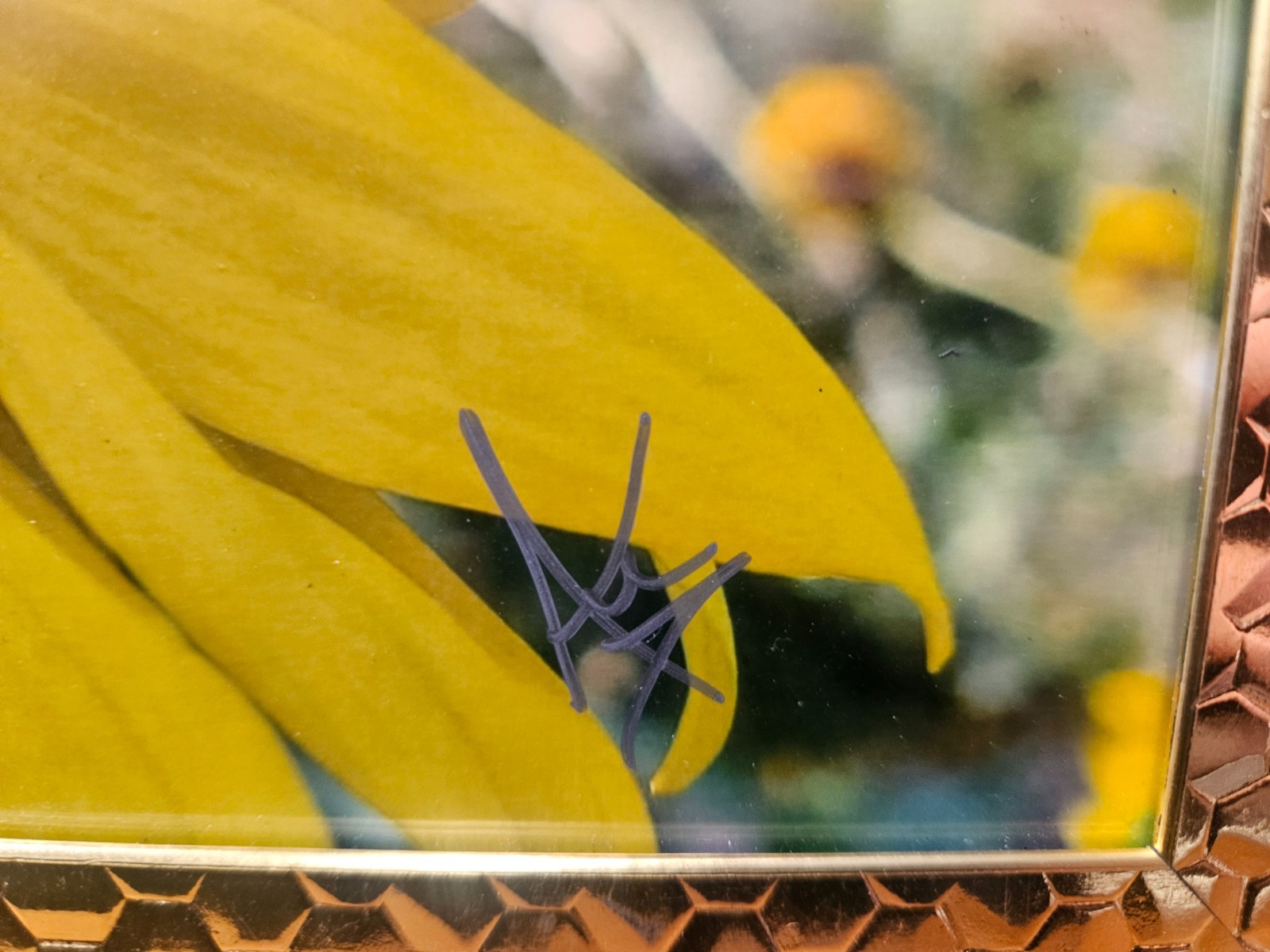 8×10 Signed Honeybee Sunflower Photo Ornate Gold Honeycomb Frame by Audra Deane