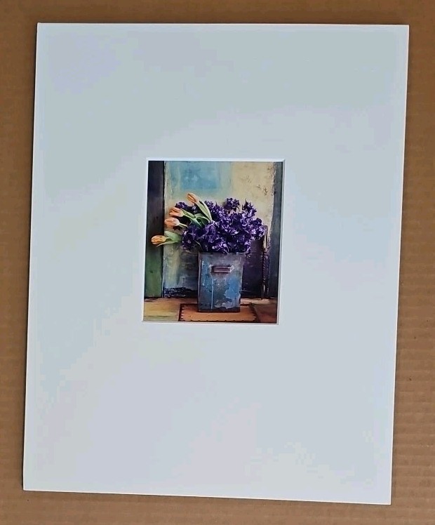 Lenny Lyons Bruno Art Photograph Purple Hyacinth & Orange Tulips Matted 11×14