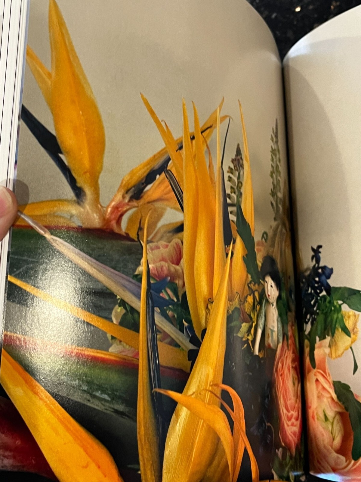 Impossible Love: Nobuyoshi Araki, A Photographic Journey through Japan art book
