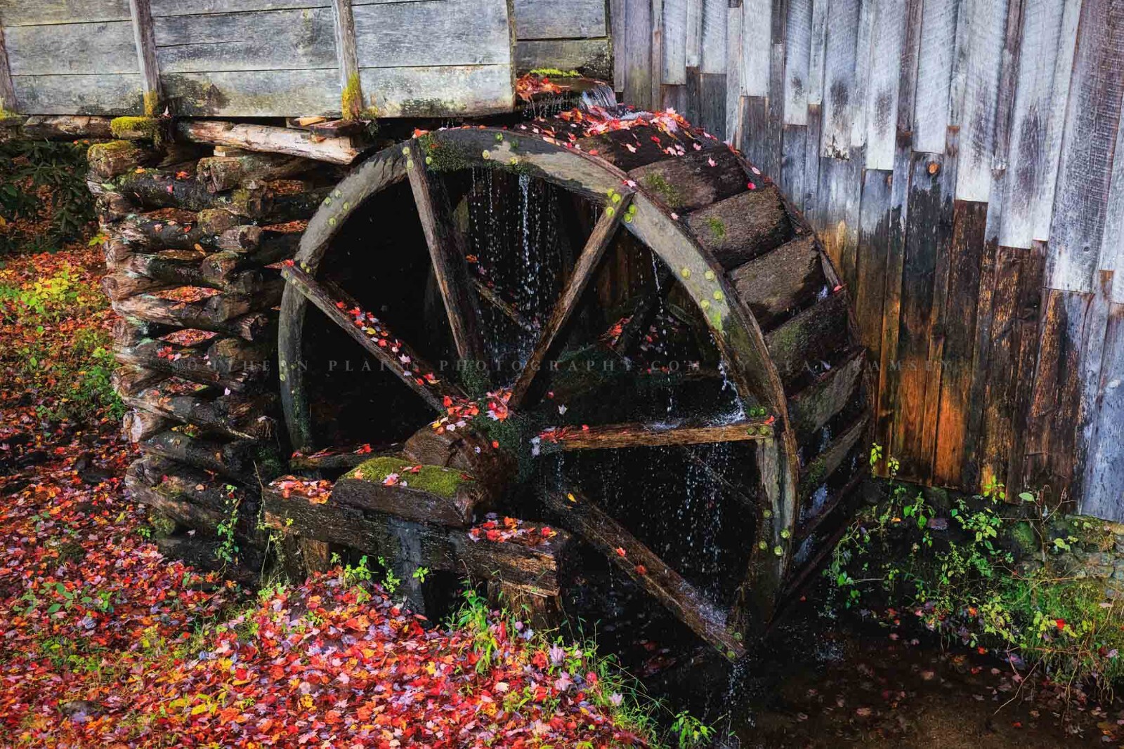 Rustic Country Photography Print – Picture of Old Mill Wheel in Tennessee