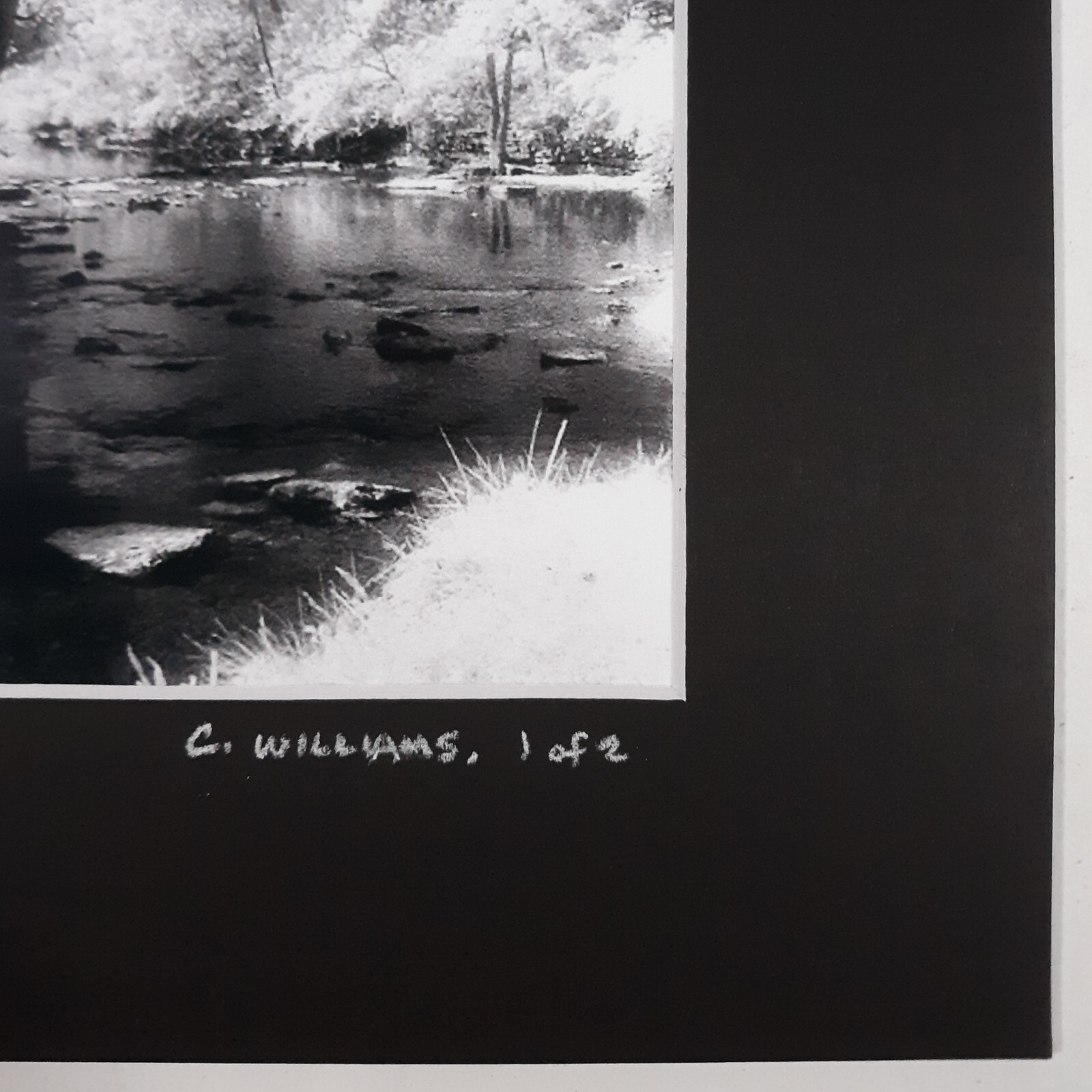 Black Mat Photo Landscape Park Infrared Photography Limited Ed 1/2 Signed Print