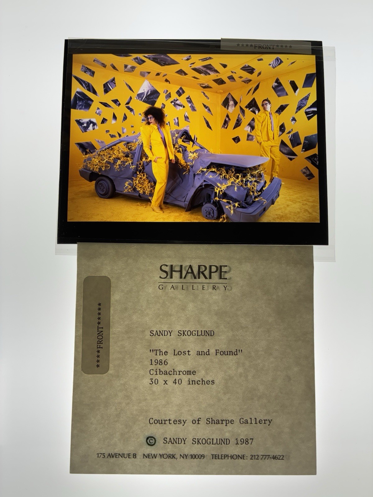 Sandy Skoglund Transparency Archive Lot Revenge Goldfish Radioactive Cats