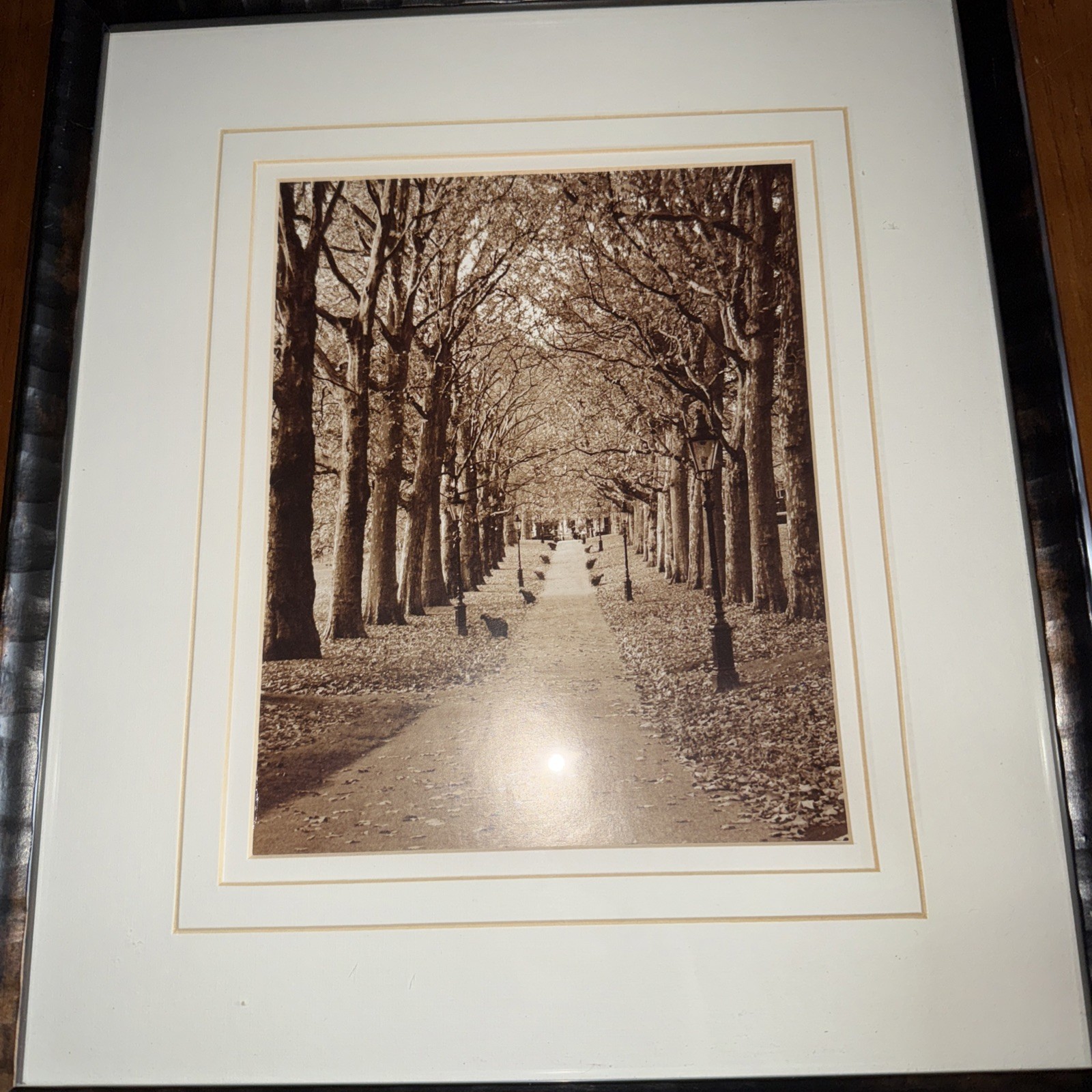 2 Park Walkway In Fall Sepia Black & White Prints Framed Matted You Get Both