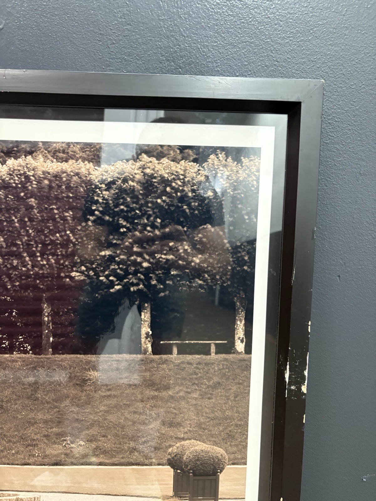 Charlie Waite Signed Photo Art Large Framed Formal Garden Landscape 42×42