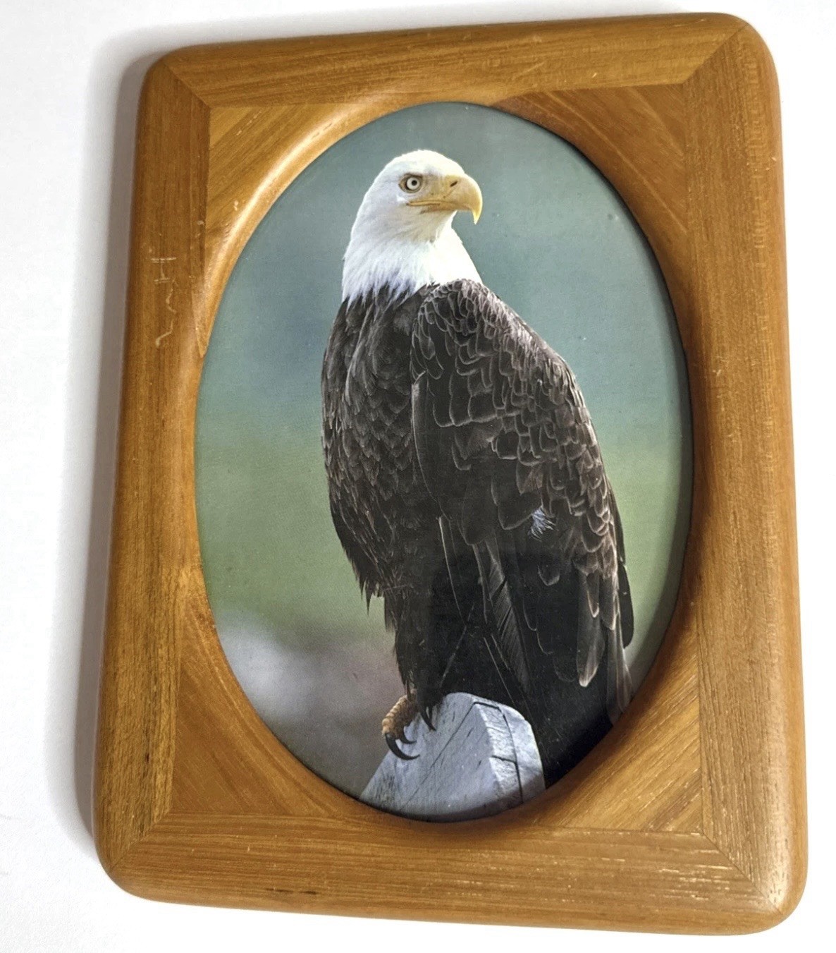Wood Picture Frame 8×6 -Oval Opening- Bald Eagle Photo Rustic Decor