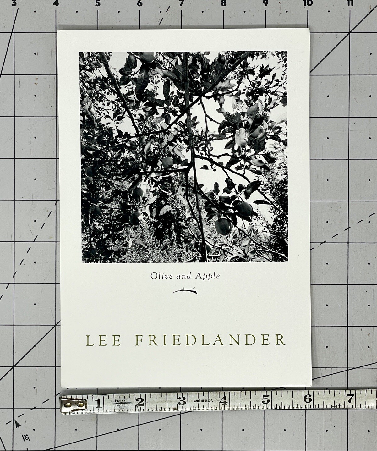 Lee Friedlander (b. 1934) Art Announcement Card 2004 – Olive & Apple