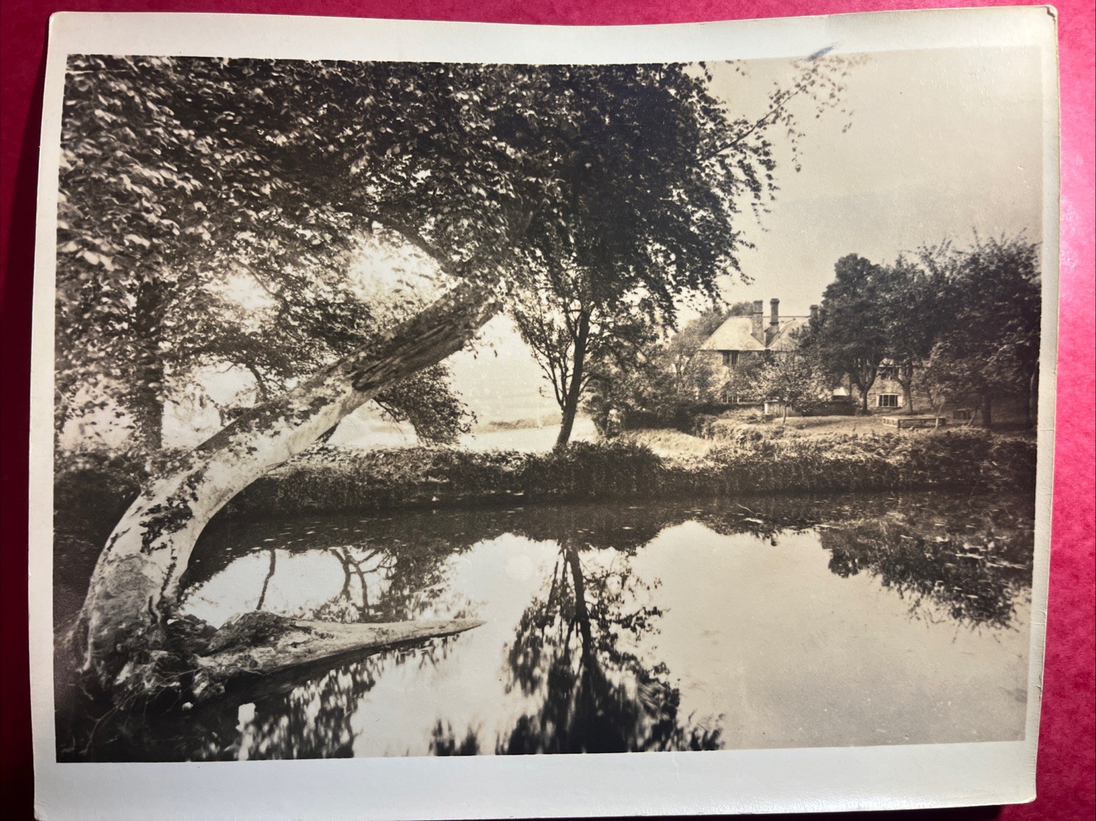 “ART LANDSCAPE PHOTOGRAPHY” Sepia Home Estate Lake Tree 1950 Private Print