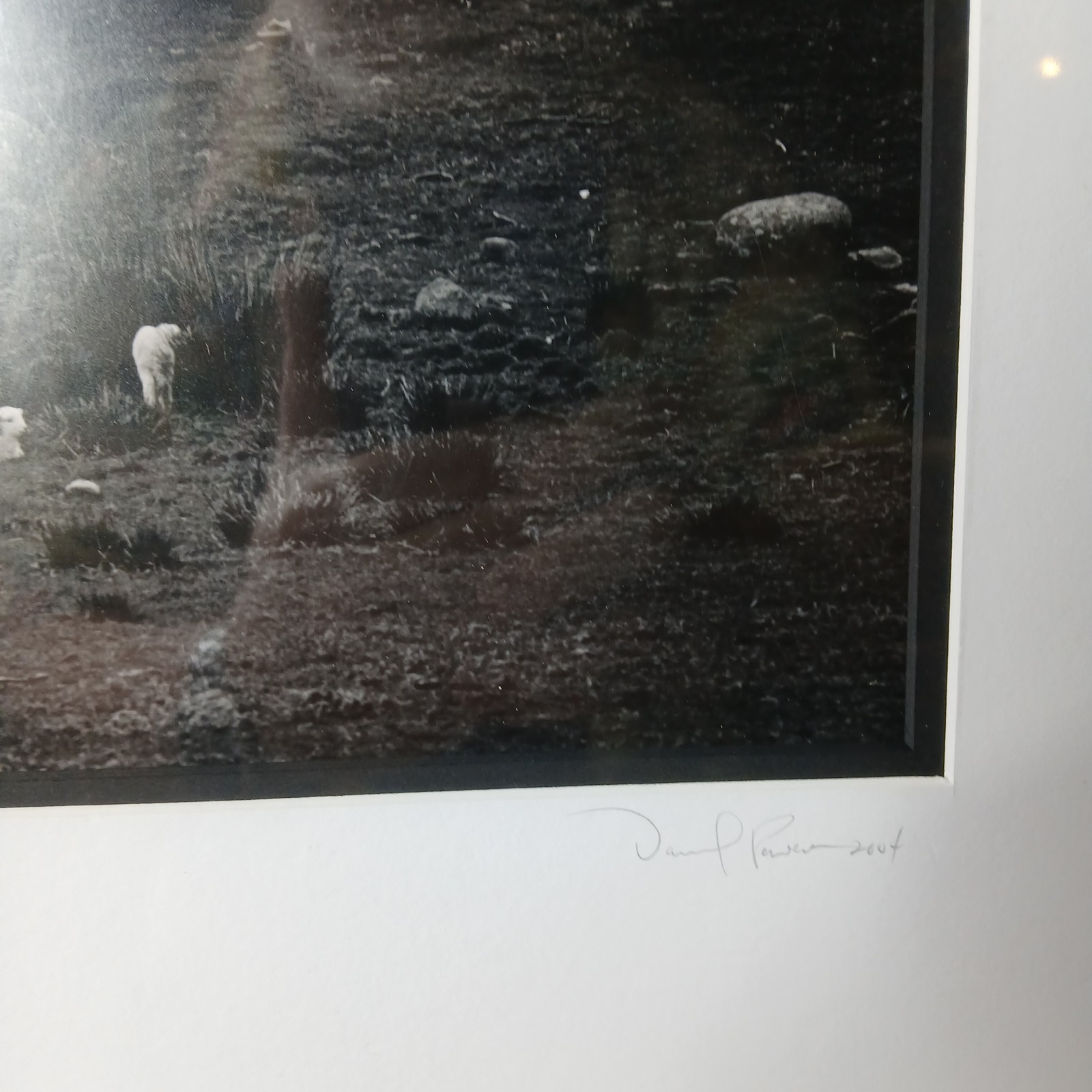 Daniel Powers SIGNED Raven Lambs 2004 Ltd Ed B&W Matted Photo Snowdonia Wales