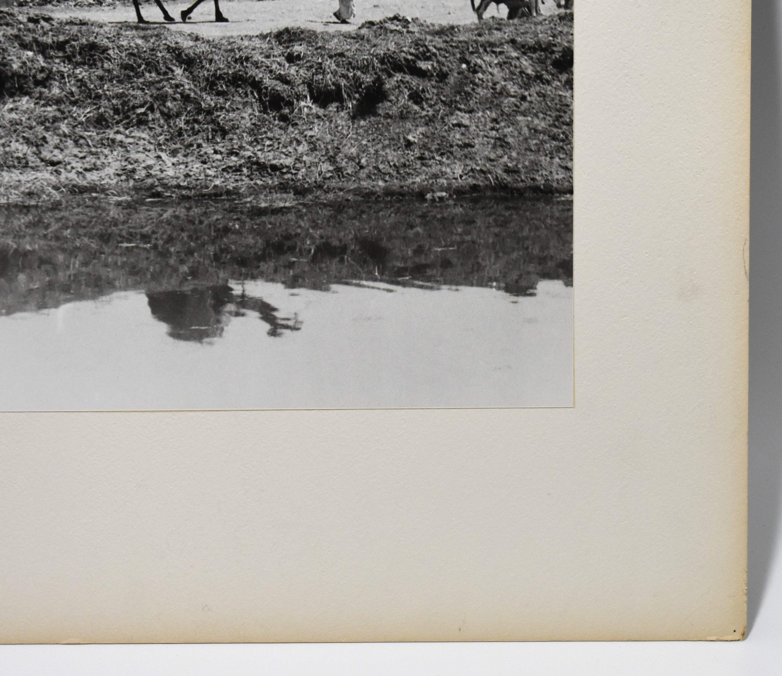 J.W. Howlett Black + white Photograph focusing on a Group of Travelers W/ Camel
