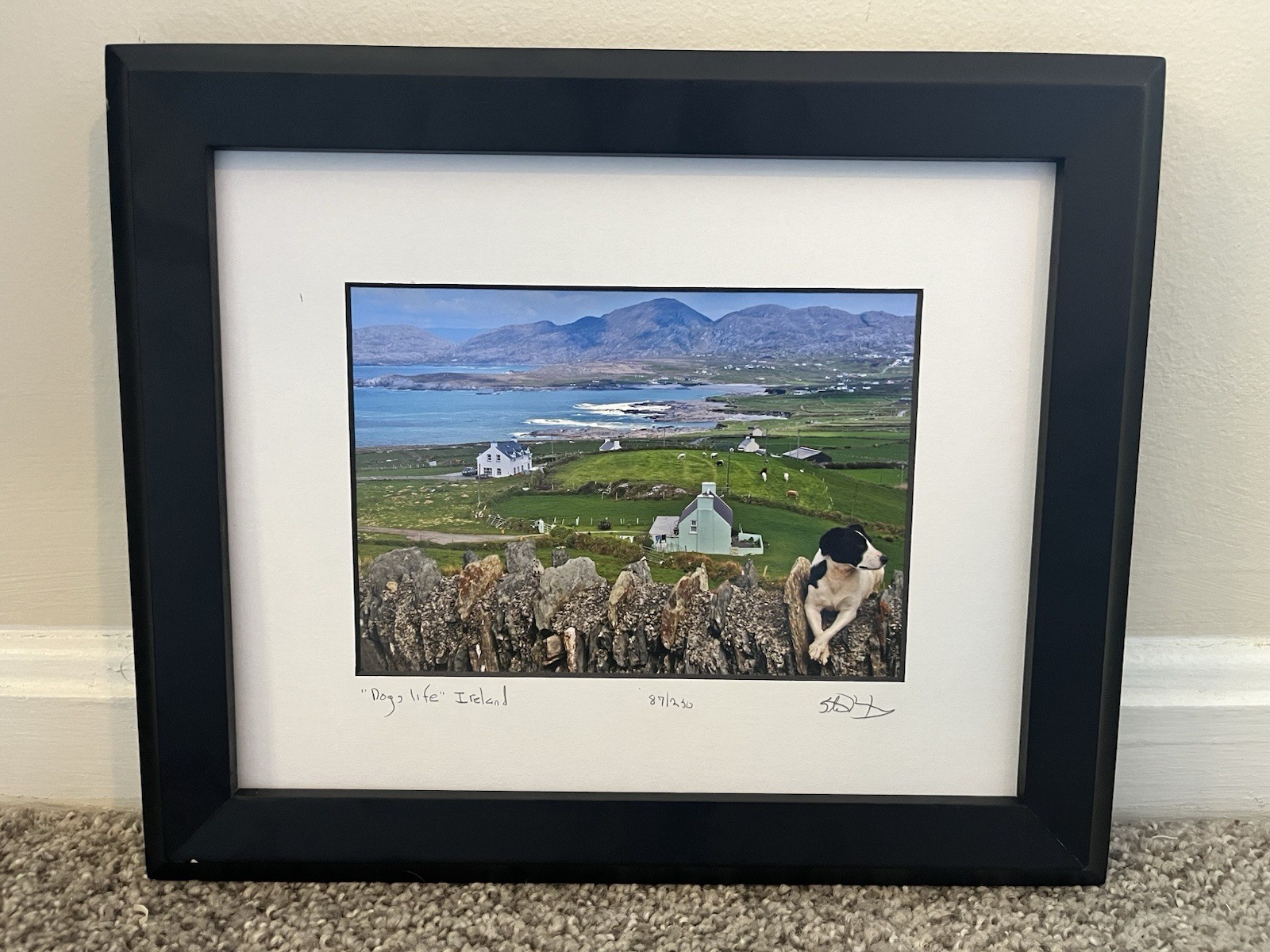 Travel Photography – Irish Dog Print