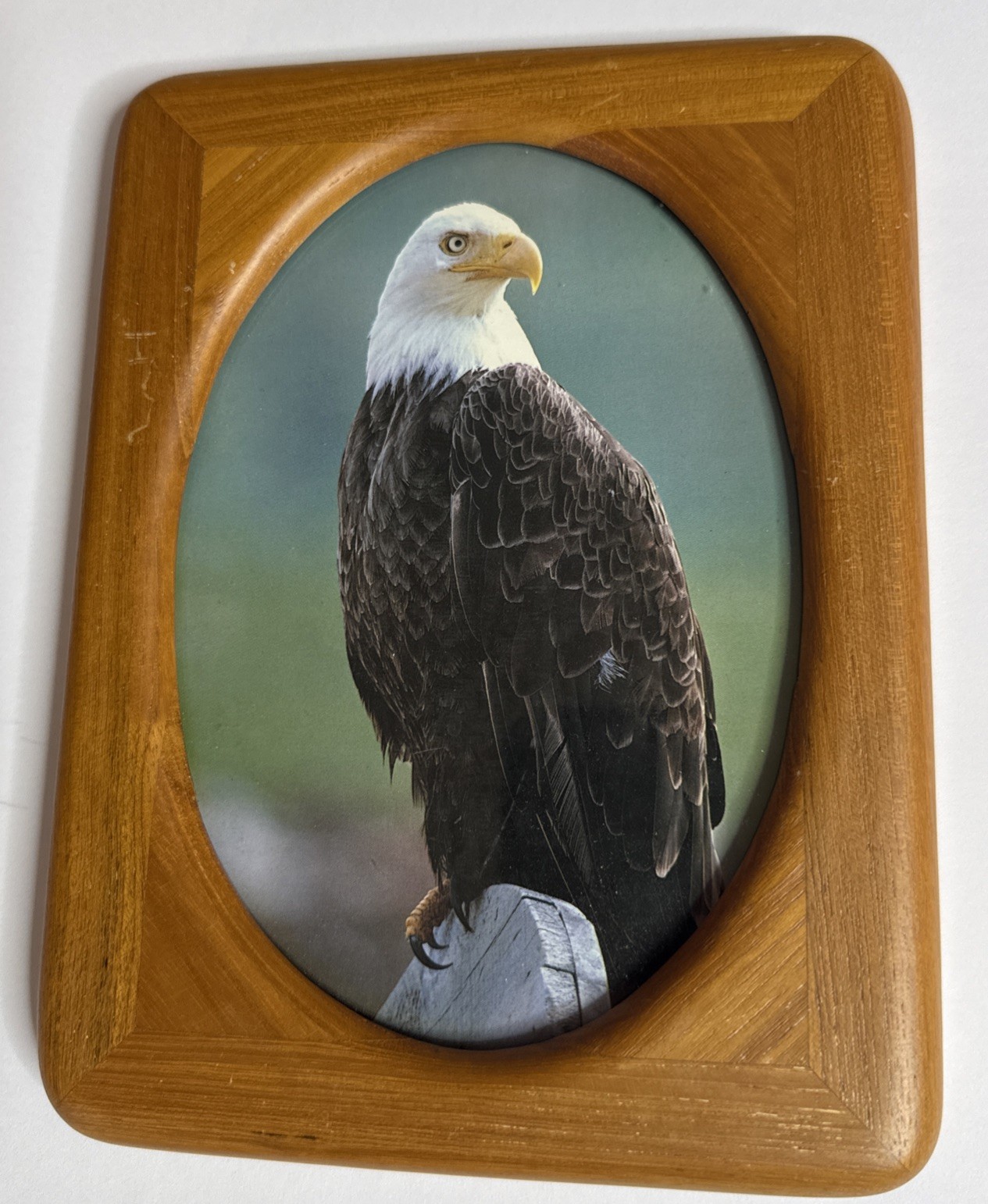 Wood Picture Frame 8×6 -Oval Opening- Bald Eagle Photo Rustic Decor