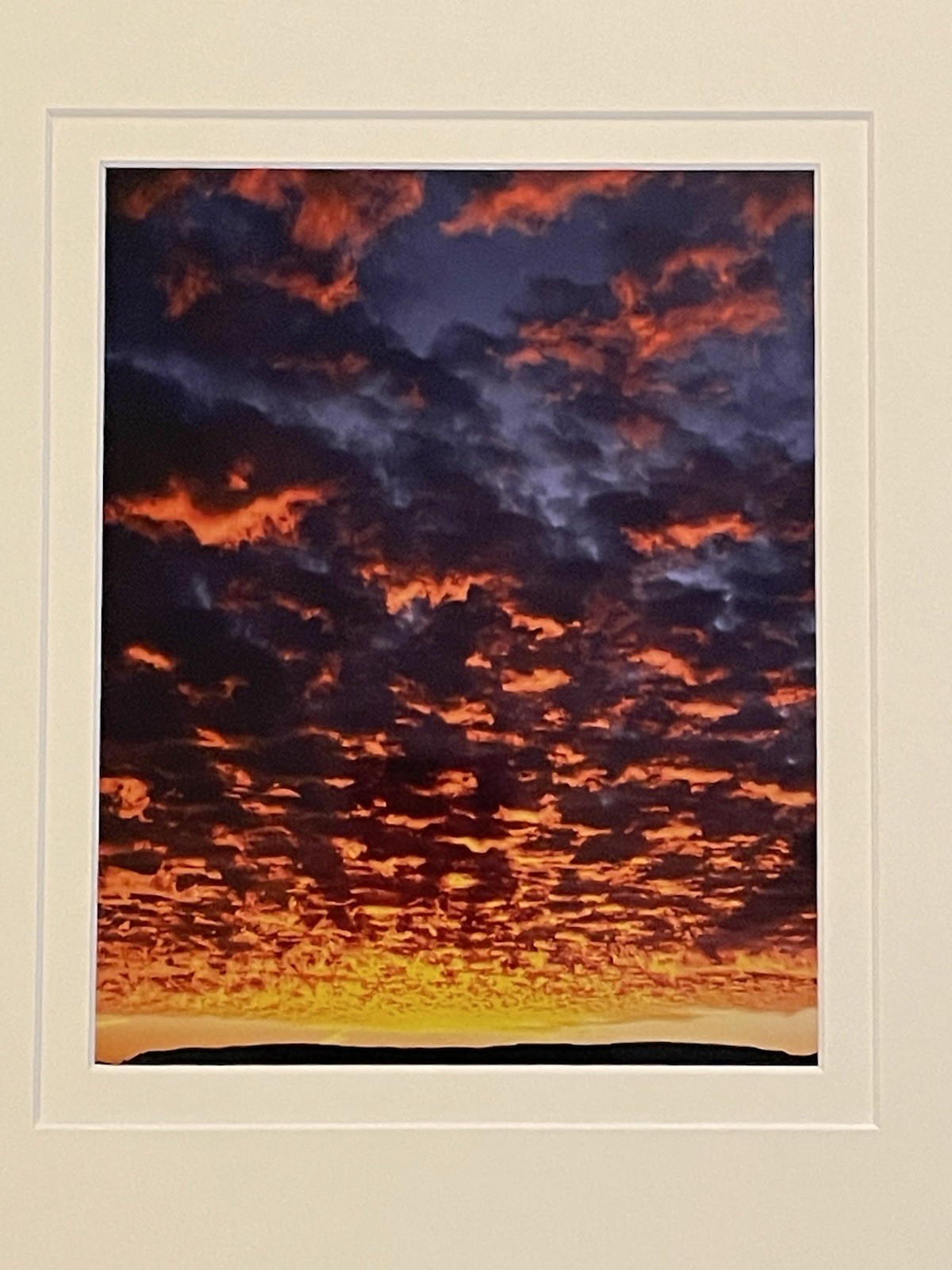 Grand Canyon Photo On Metal Signed Shane Knight