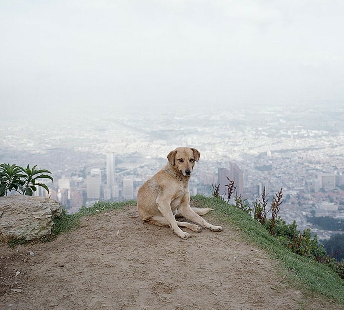 ALEC SOTH ‘Bogota, Columbia’ 2003/2021 SIGNED Ltd. Edition Photograph 6″x6″ NEW!