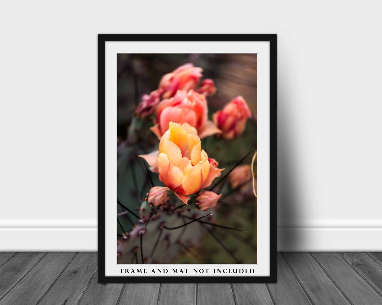Cactus Flower Photography Print: West Texas Prickly Pear Desert Nature Photo