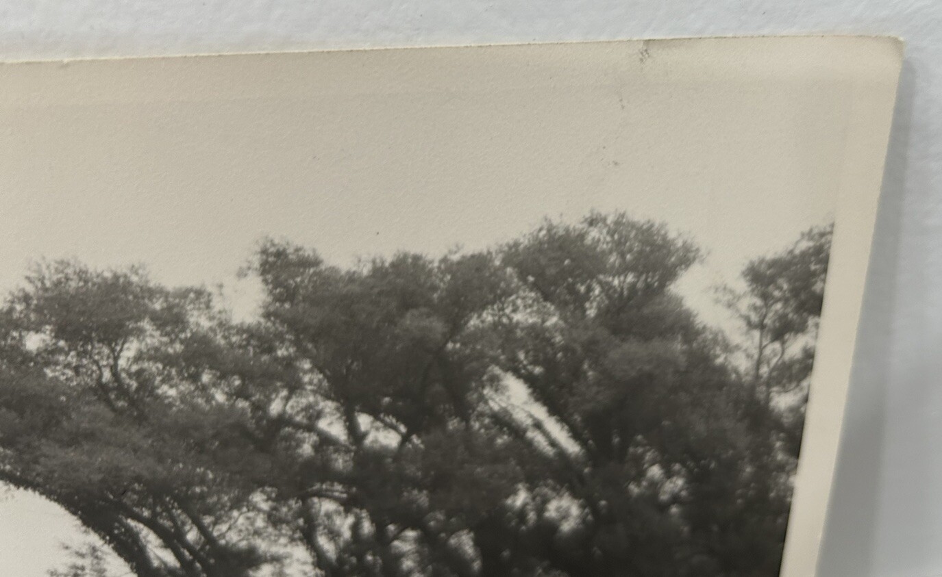 Arthur Gray Standard Oil Photographer Cleveland Ohio Americana Canoe River Look!