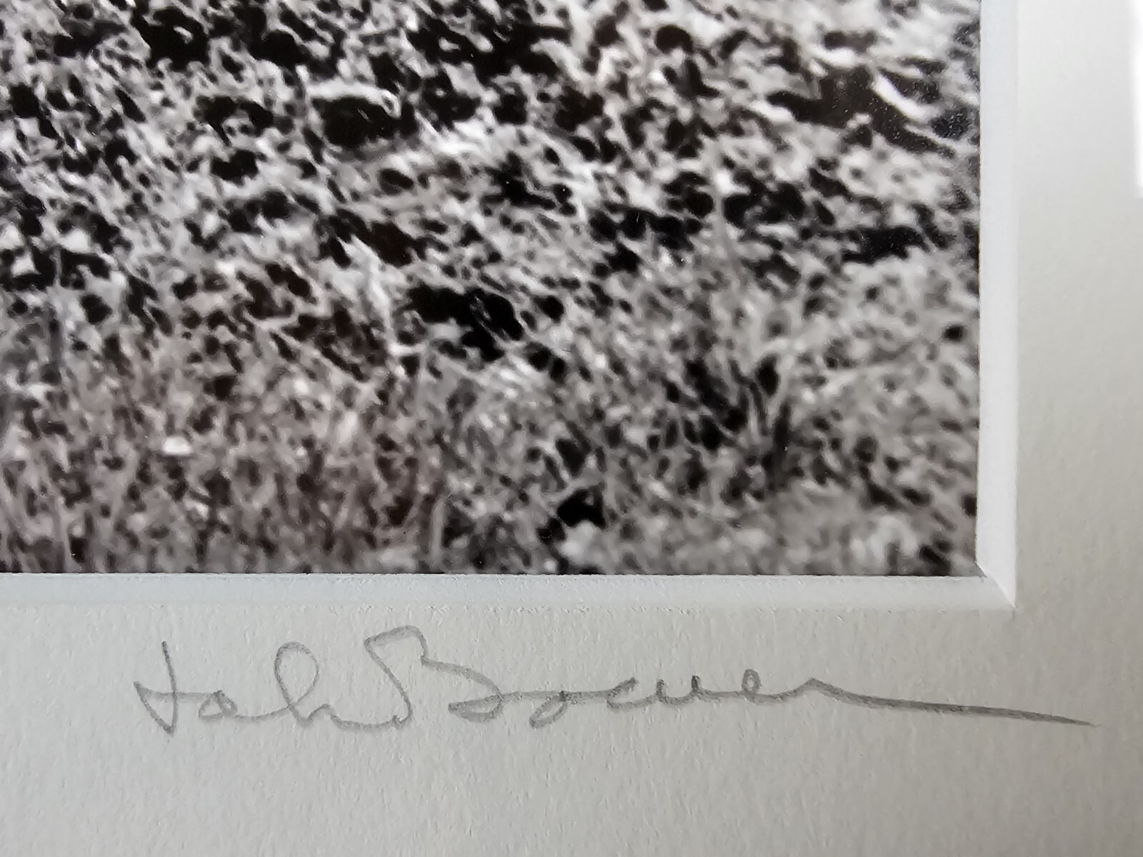 Original Signed John Bower 35mm Fine Art B&W Photograph 20×16 Framed Midwest Art