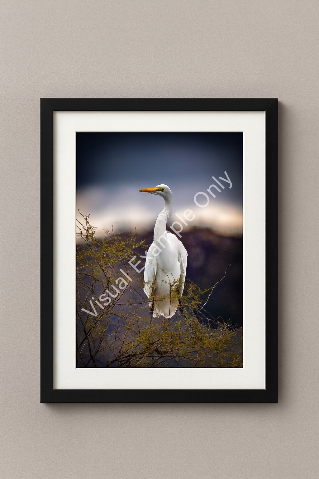 Great Egret Wildlife Photography Print Elegant White Bird Wall Art Nature Decor