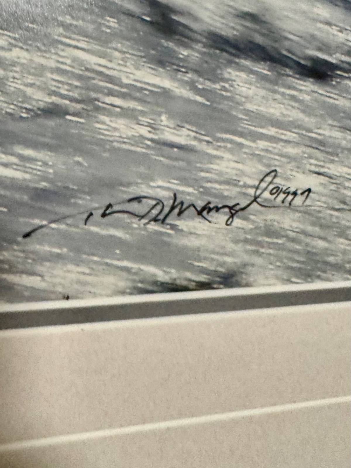 “The Catch- Bald Eagle” signed by tom mangelsen
