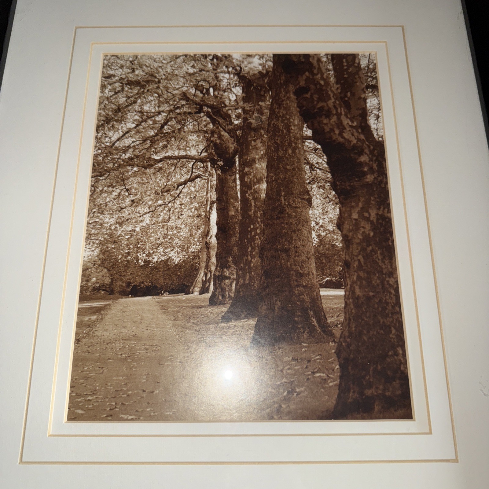 2 Park Walkway In Fall Sepia Black & White Prints Framed Matted You Get Both
