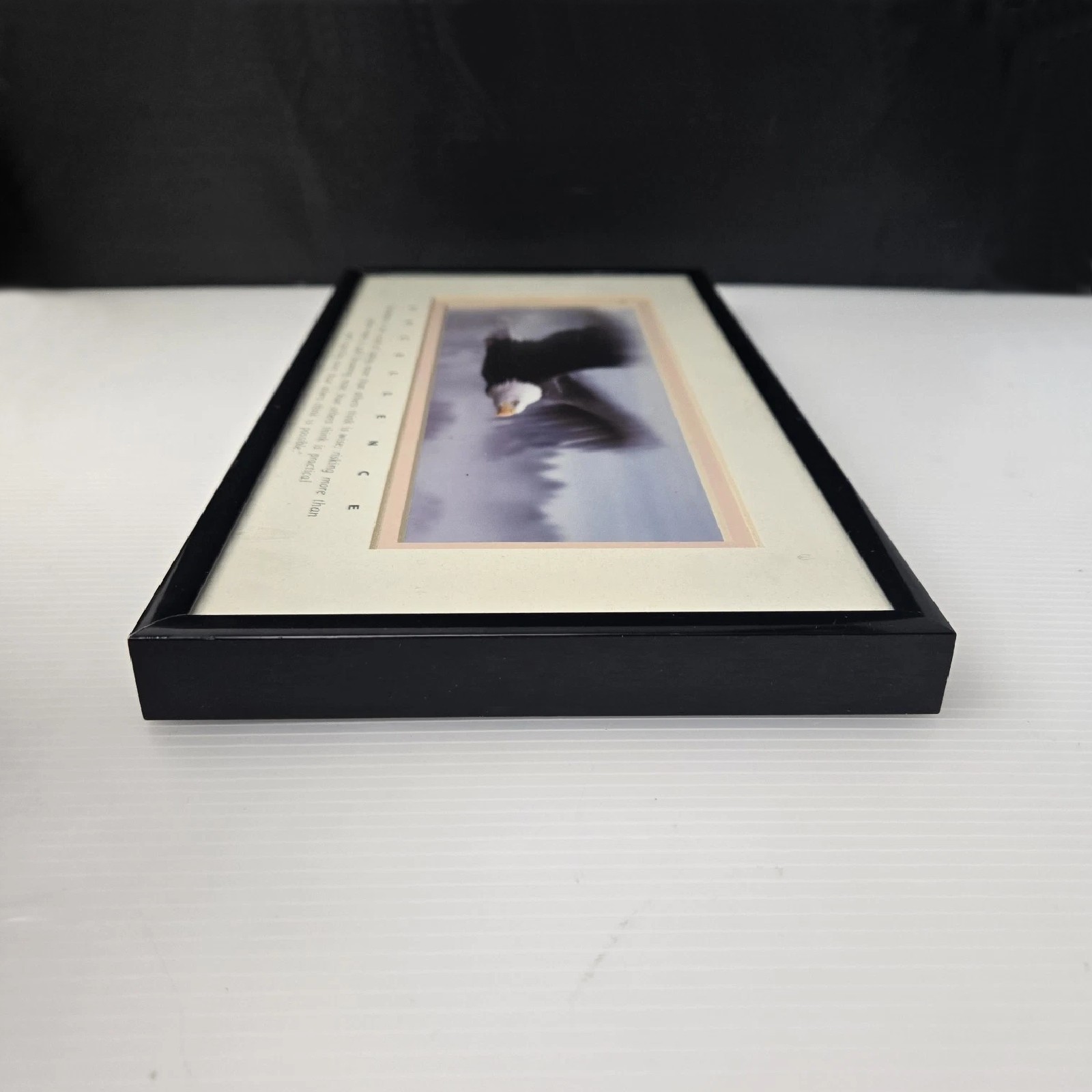 Excellence King Of The Skies Eagle Photo Art Framed Frank Oberle Photography