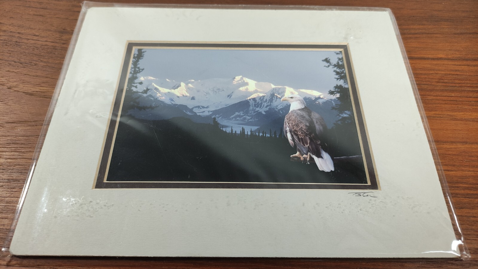 Original Photo Artwork American Bold Eagle Mountains Signed & Numbered by Artist