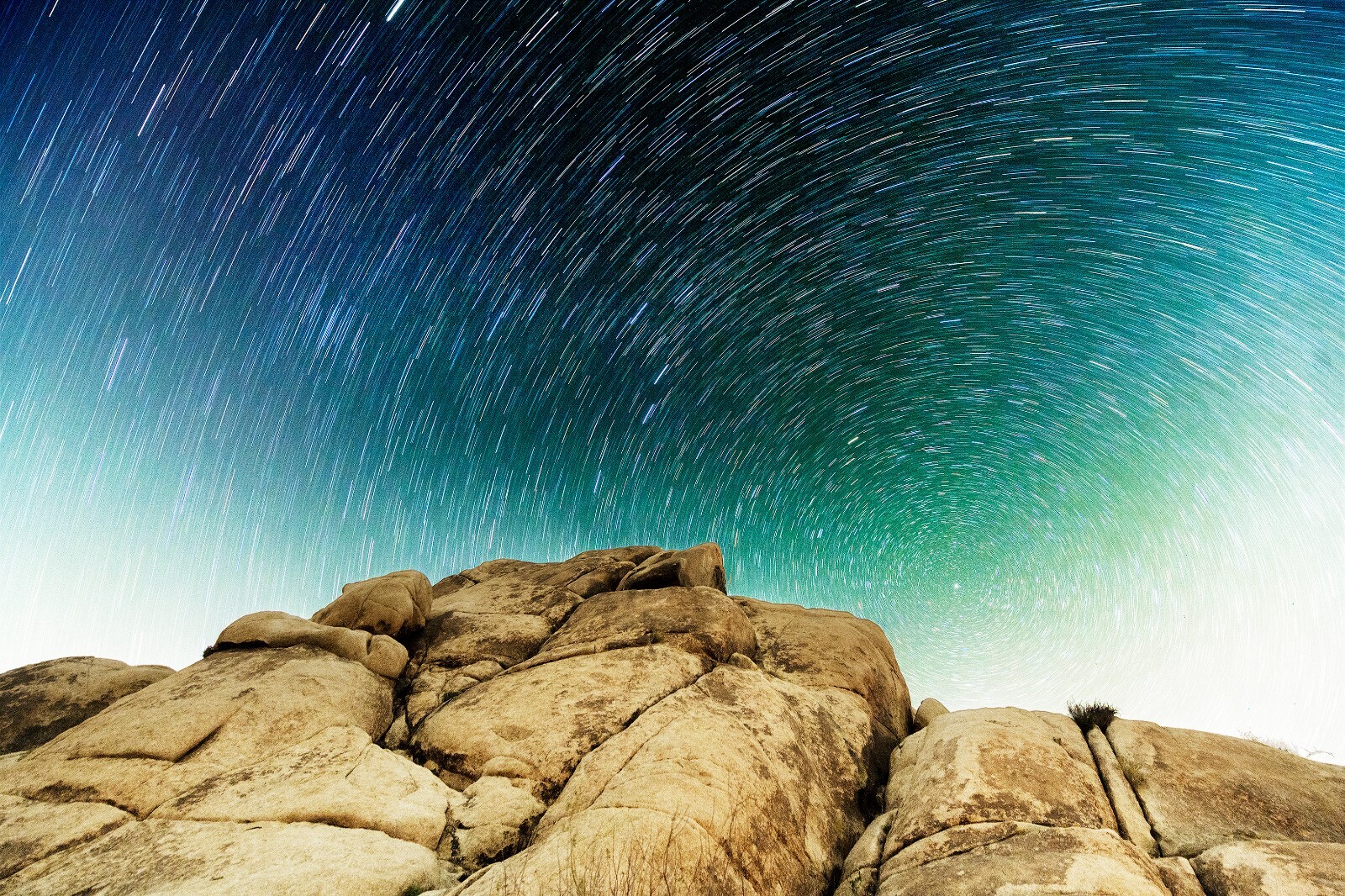 16×20″ Photo of Star Trails in Joshua Tree National Park Night Sky Framed 20×24″