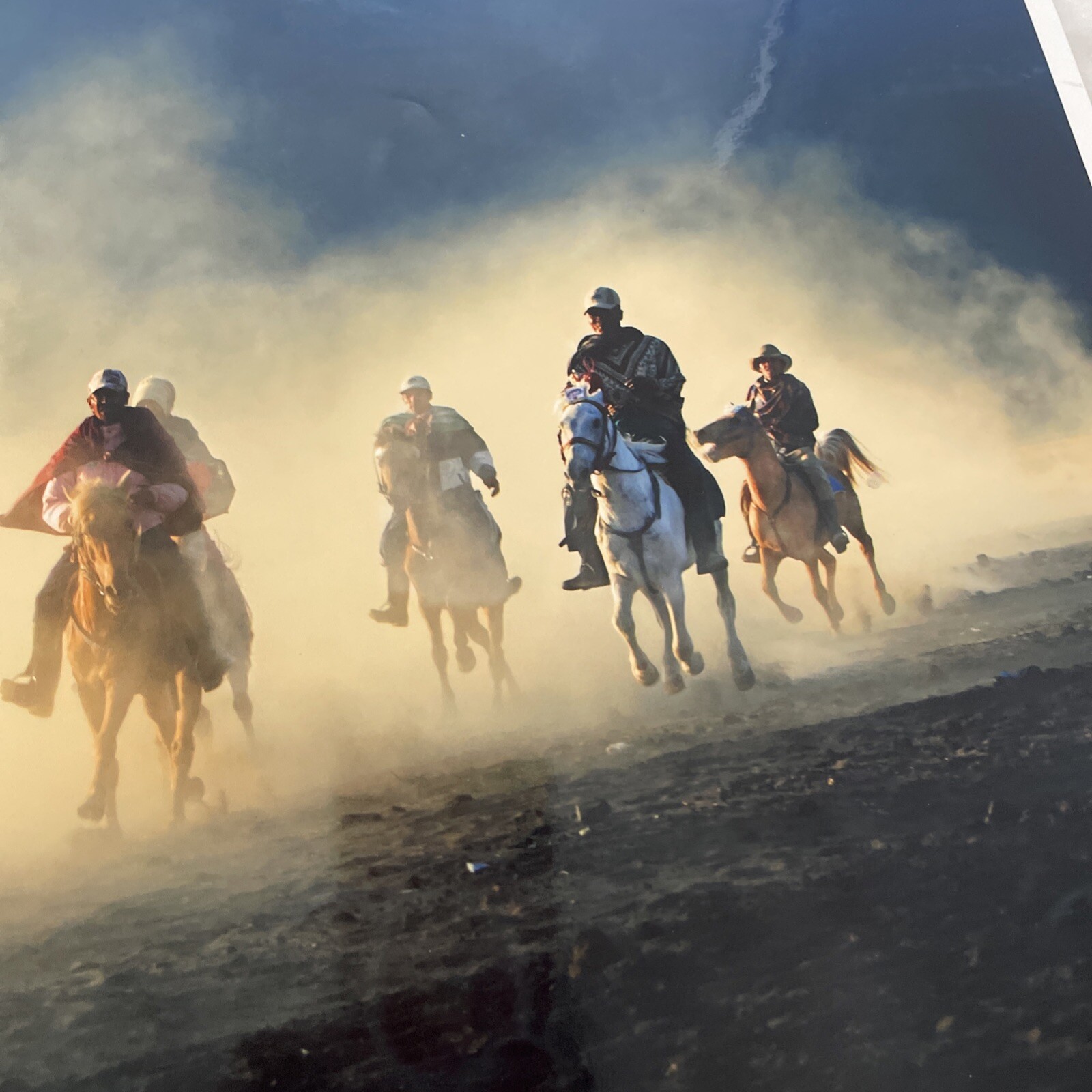 Returning Home Photo 12″ x 18″ Horses