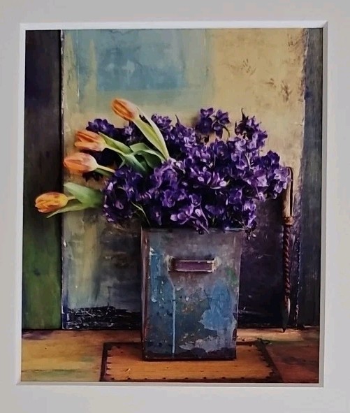 Lenny Lyons Bruno Art Photograph Purple Hyacinth & Orange Tulips Matted 11×14