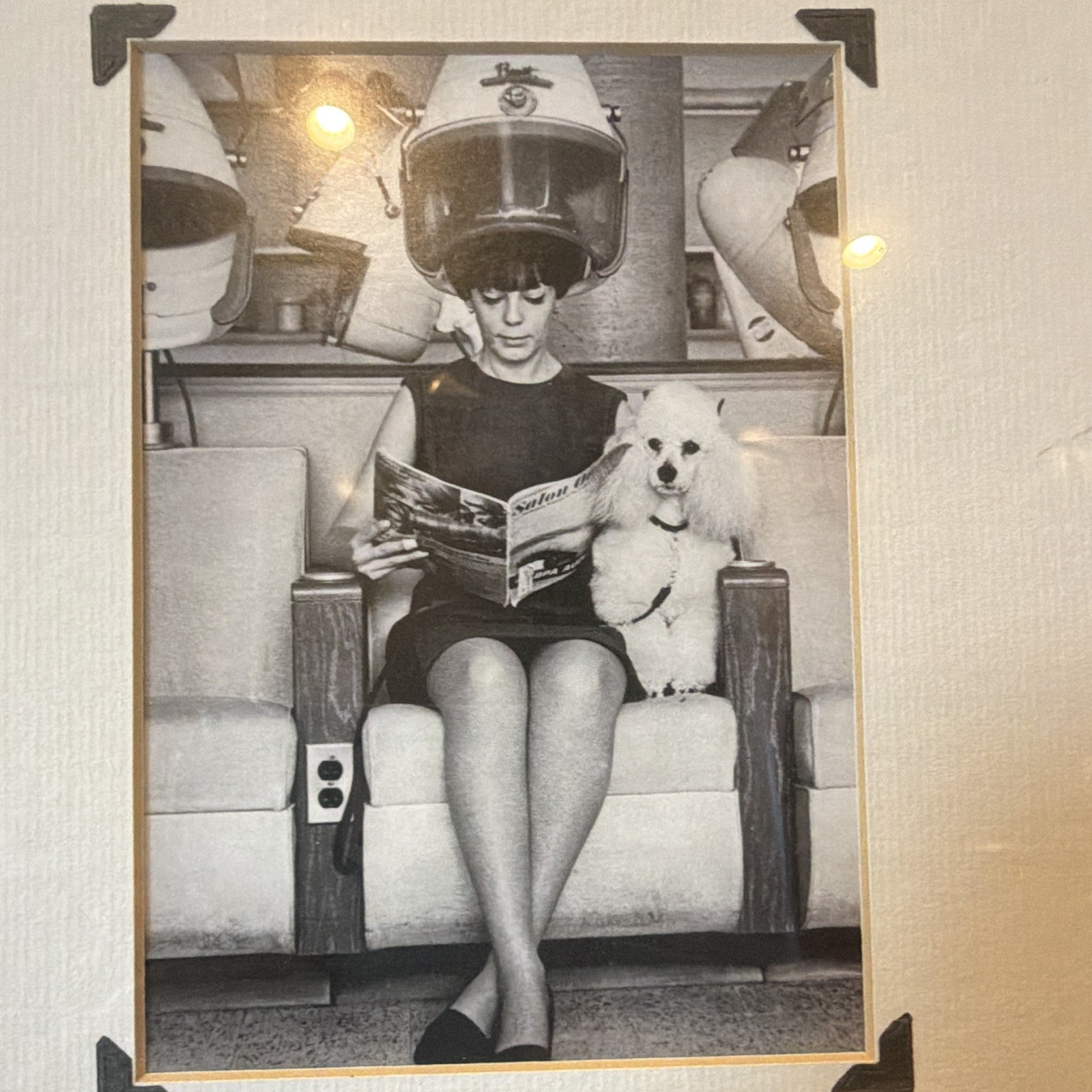 Vintage Black & White Photograph Woman Under Hair Dryer w/ Dog, Framed Matted