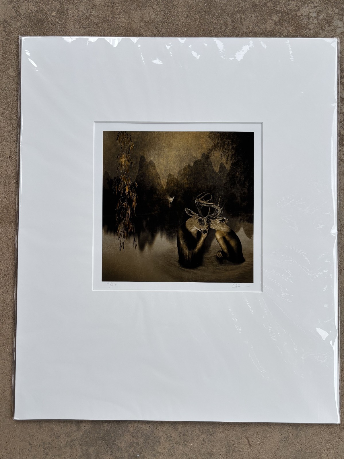 John Charbonneau Tinted Surreal Photograph Signed #9/250 Excellent Condition