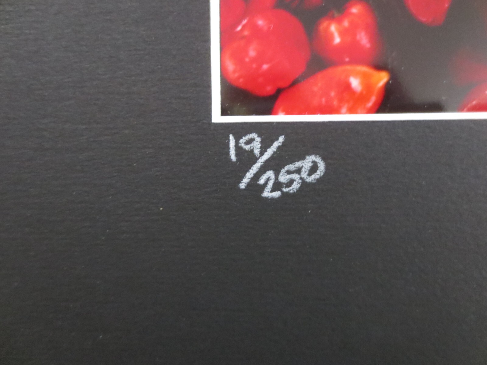 Frameable, Matted Roberta Forest BANANAS & PEPPERS 19/250 PHOTO – 10″ x 8″