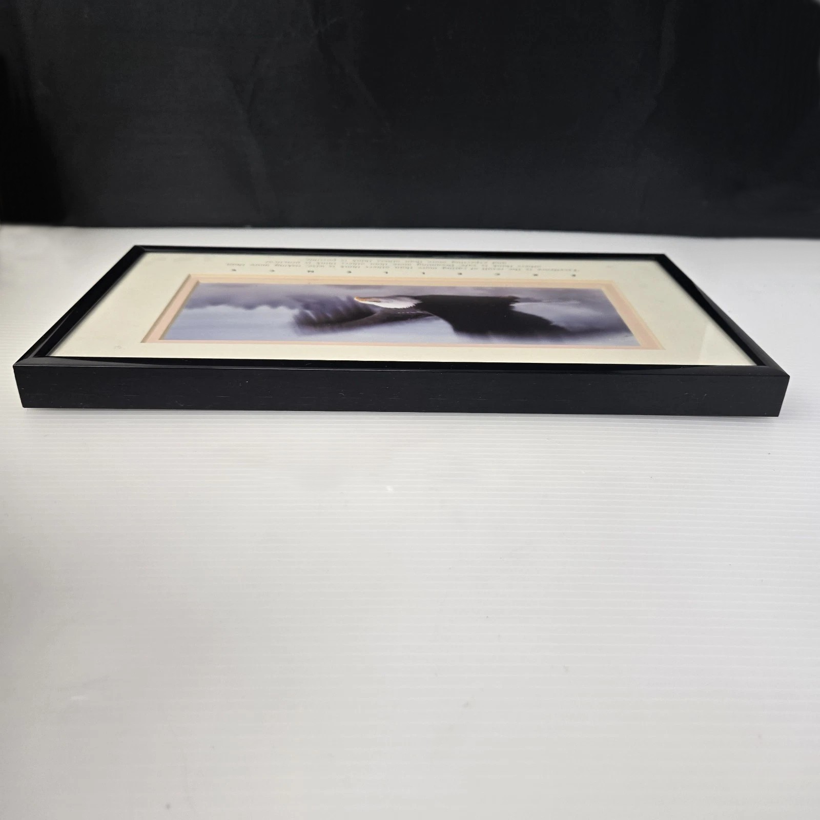 Excellence King Of The Skies Eagle Photo Art Framed Frank Oberle Photography