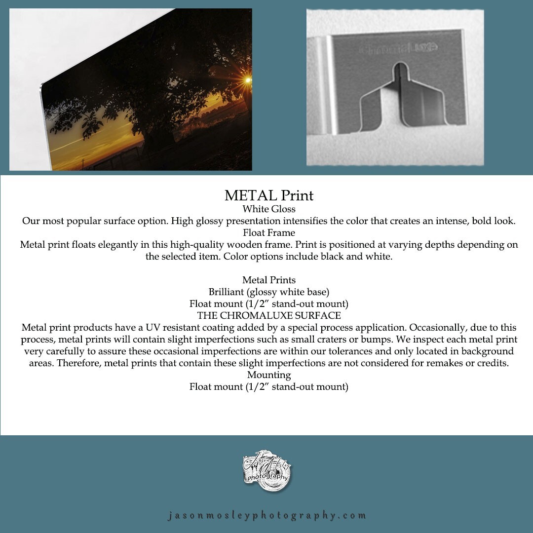 Olympic National Park Photography Ruby Beach panoramic landscape Metal 24×36″