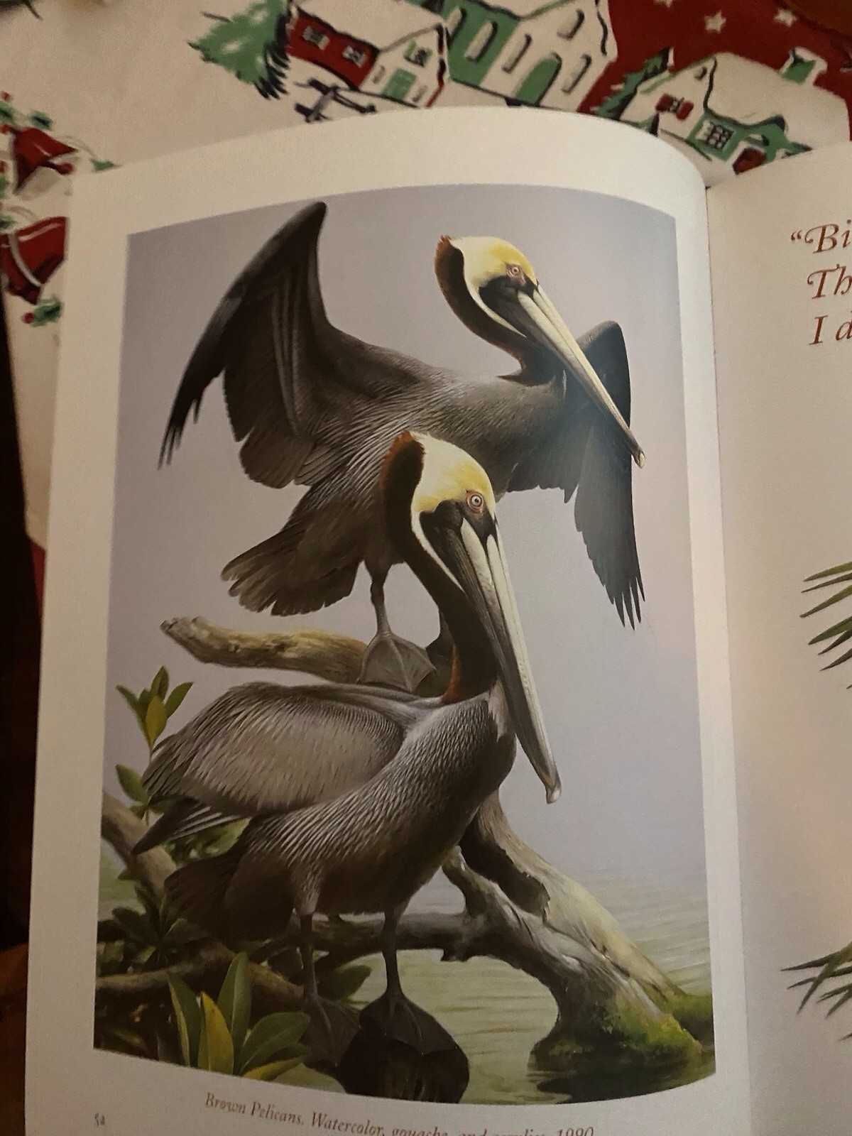 Art & Photo’s Of The World’s Formost Birder, Roger Tory Peterson – Excellent