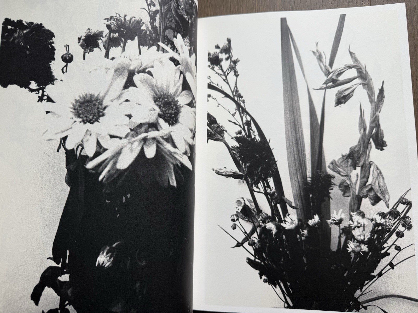 🎈SIGNED w Drawing! Nobuyoshi Araki – HANA-JINSEI, 2002 Japan Limited Ed, Unique