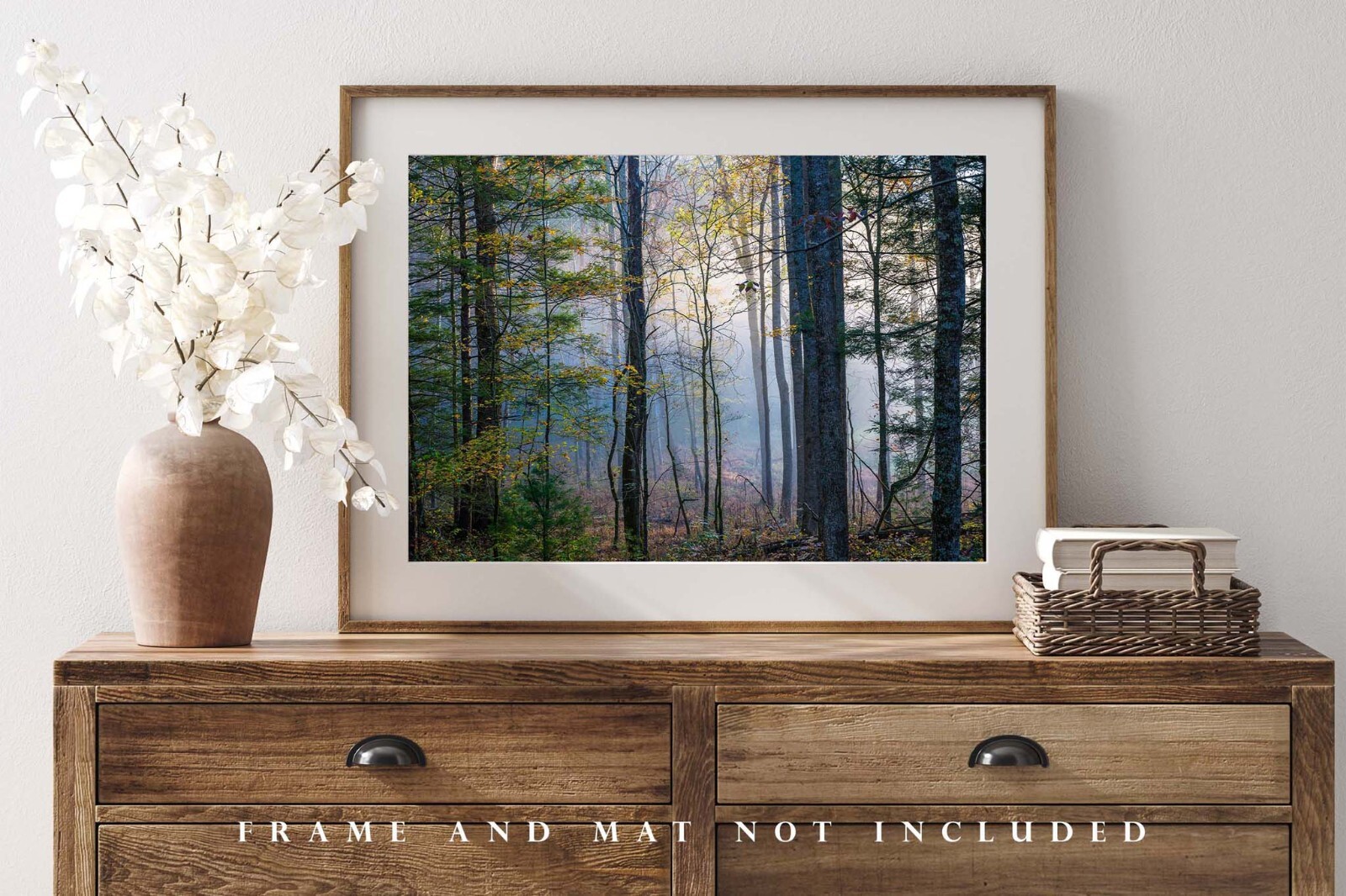 Photography Print of Forest on Foggy Morning in Great Smoky Mountains