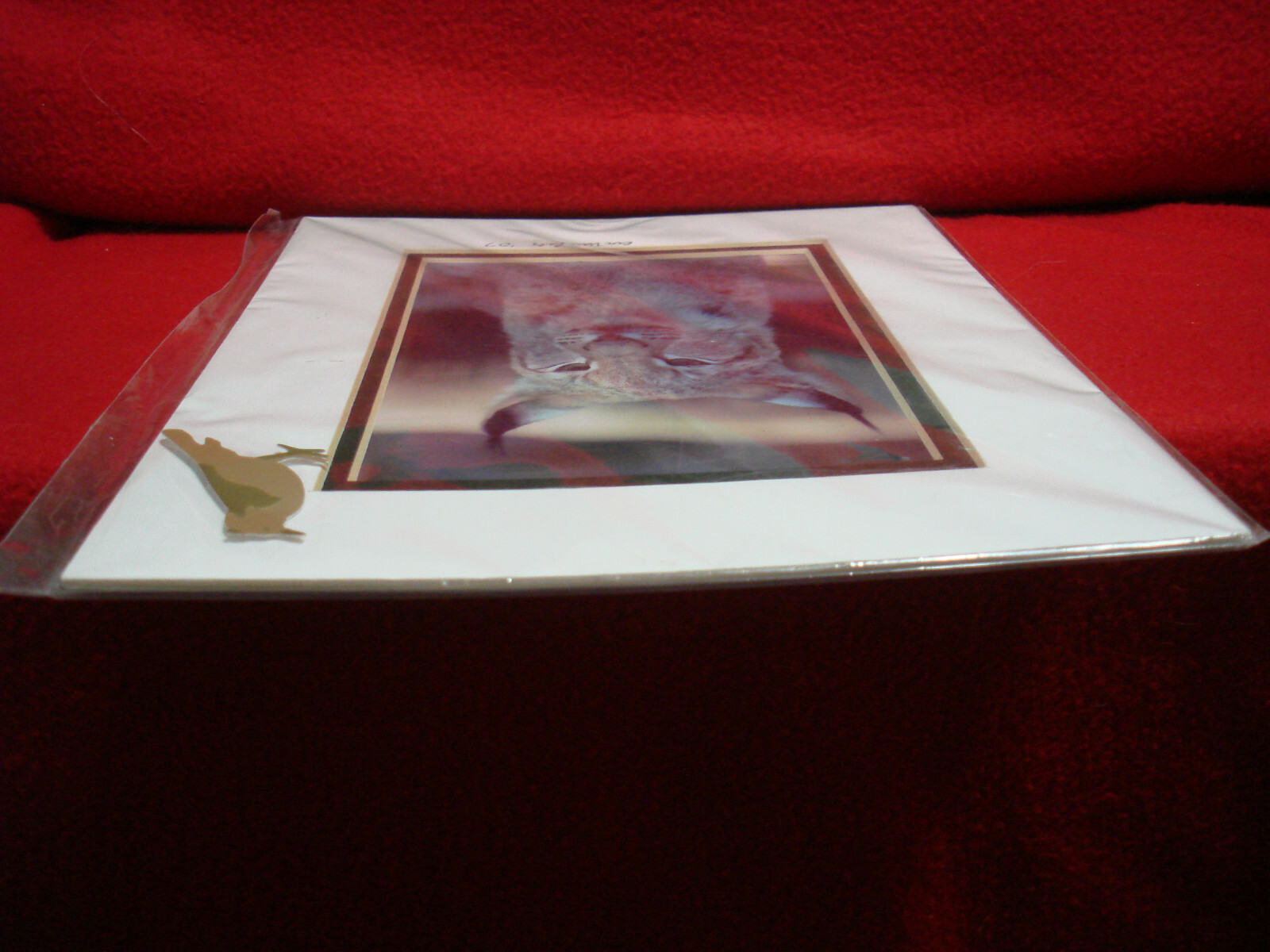 8″x10″ Matted Lynx Portrait Art by Eric Van Pelt 2007