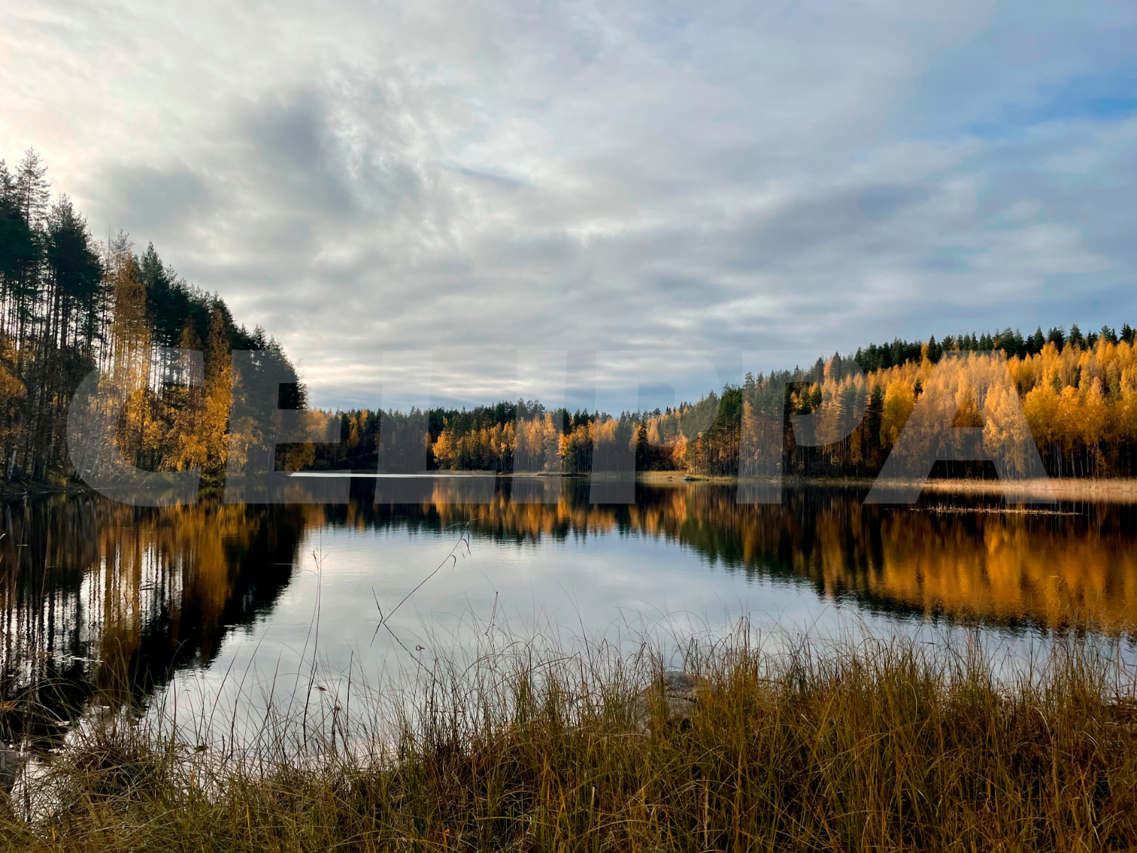 Photo Digital Product Wallpaper Image Picture Background Desktop Art -Lake.Fores