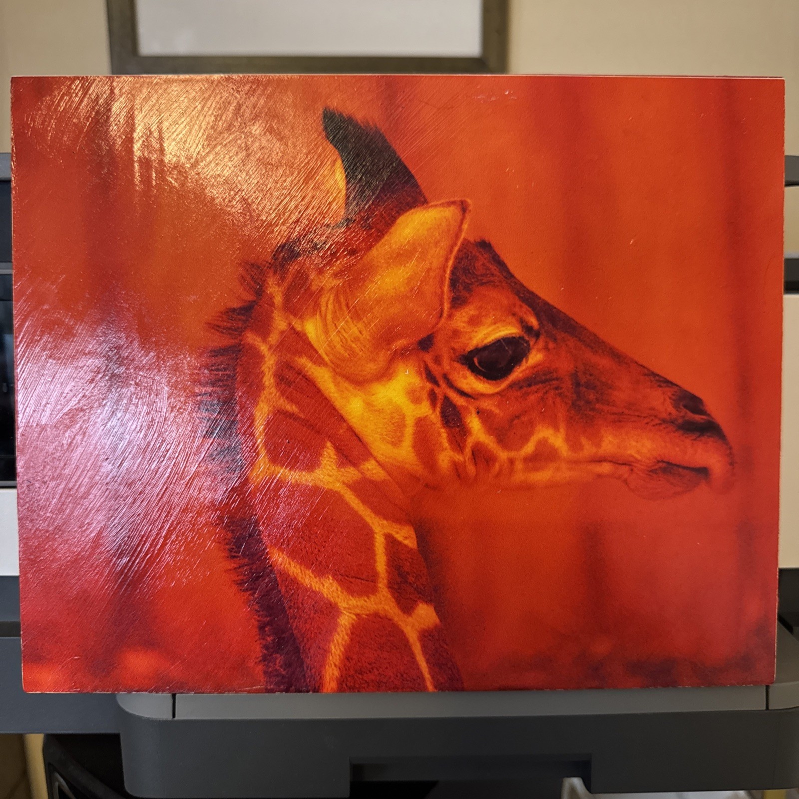 Baby Giraffe In Demure Orange Tones, 8×10 Original Art Photo On Wood