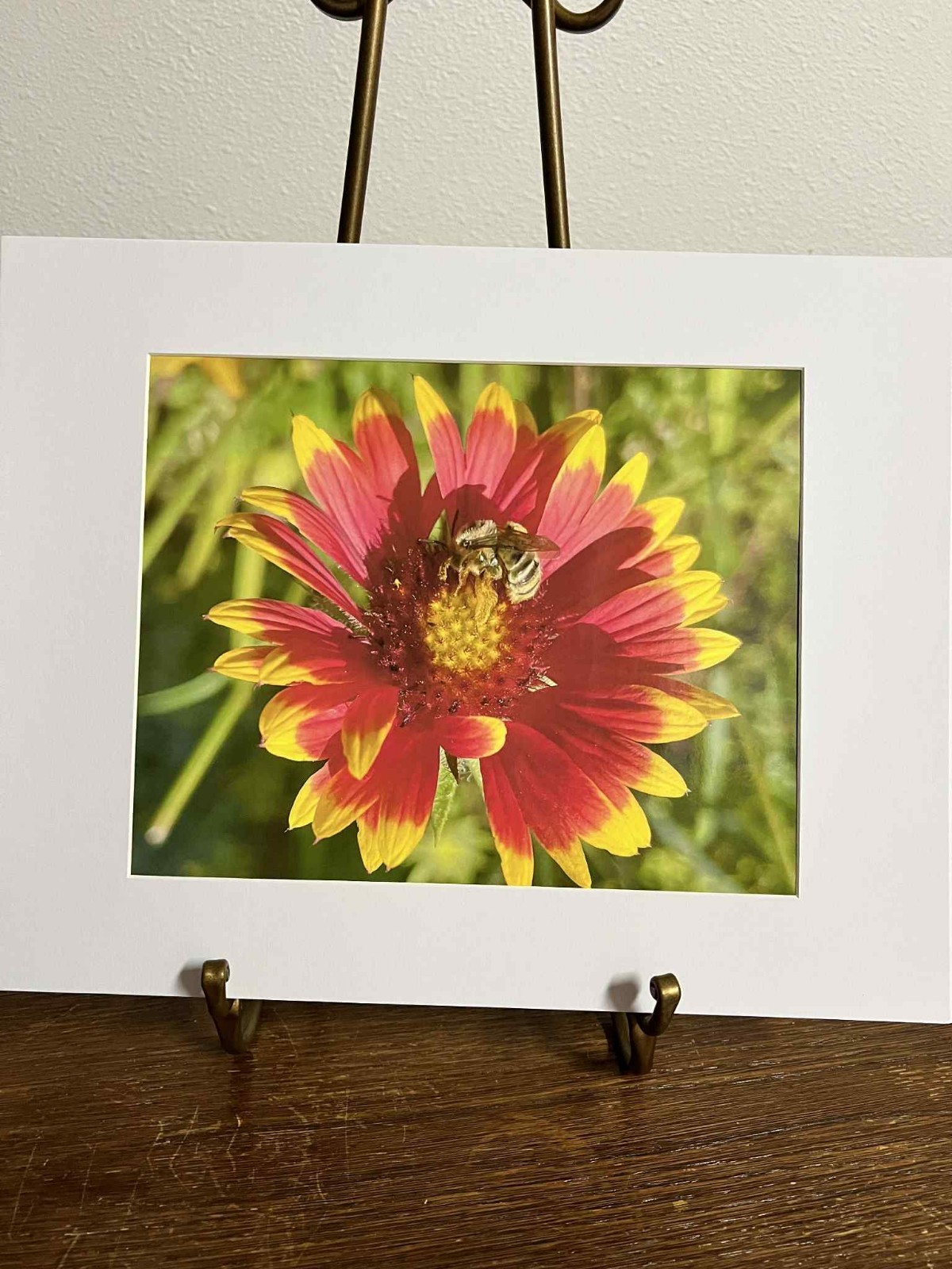Sleepy Bee Macro Flower Photo 8×10 Print Matted to 11×14 Pacific Northwest Artis