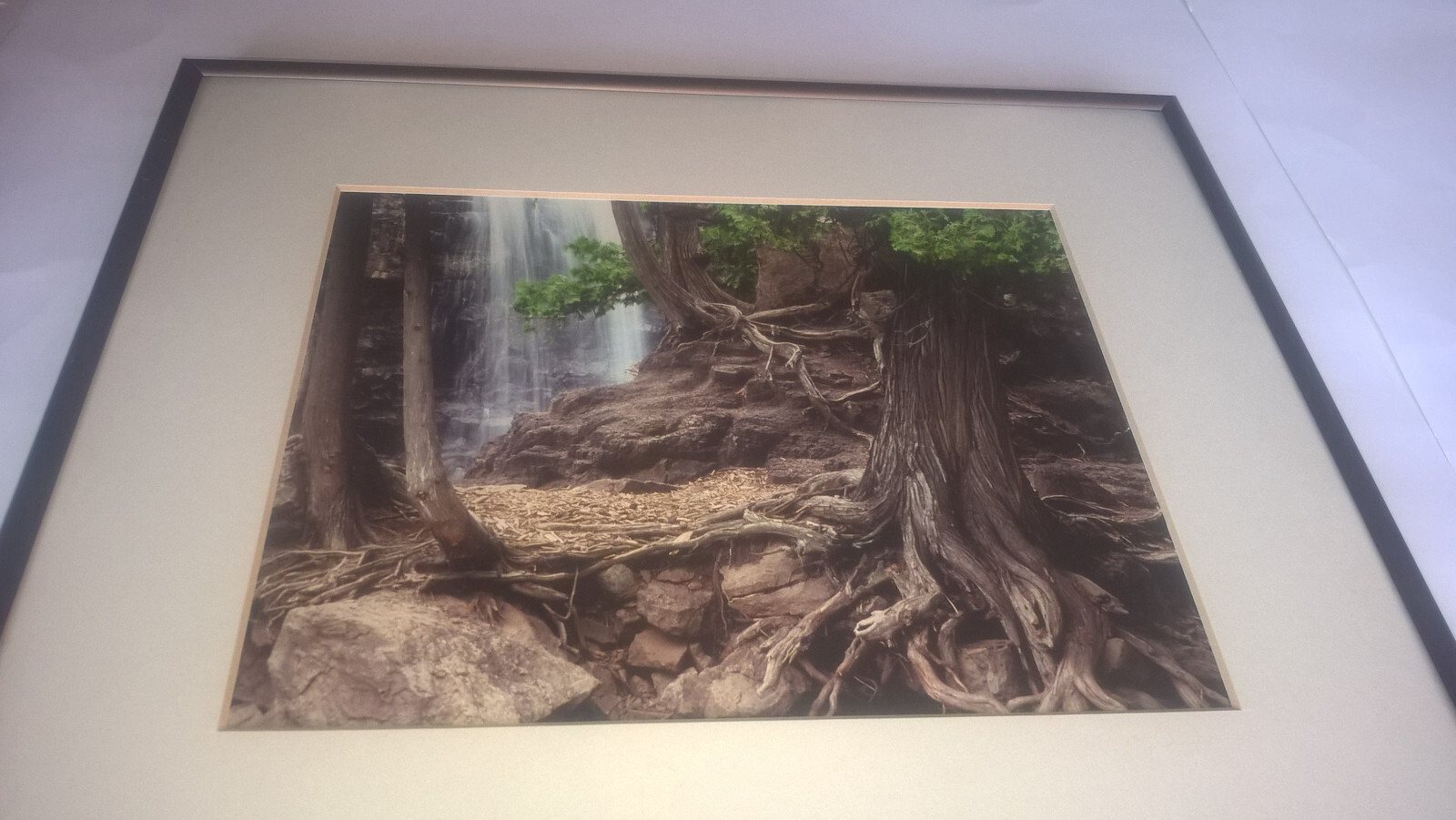 Jay Anderson Photograph Minnesota Gooseberry Falls Framed Art Forest Waterfall