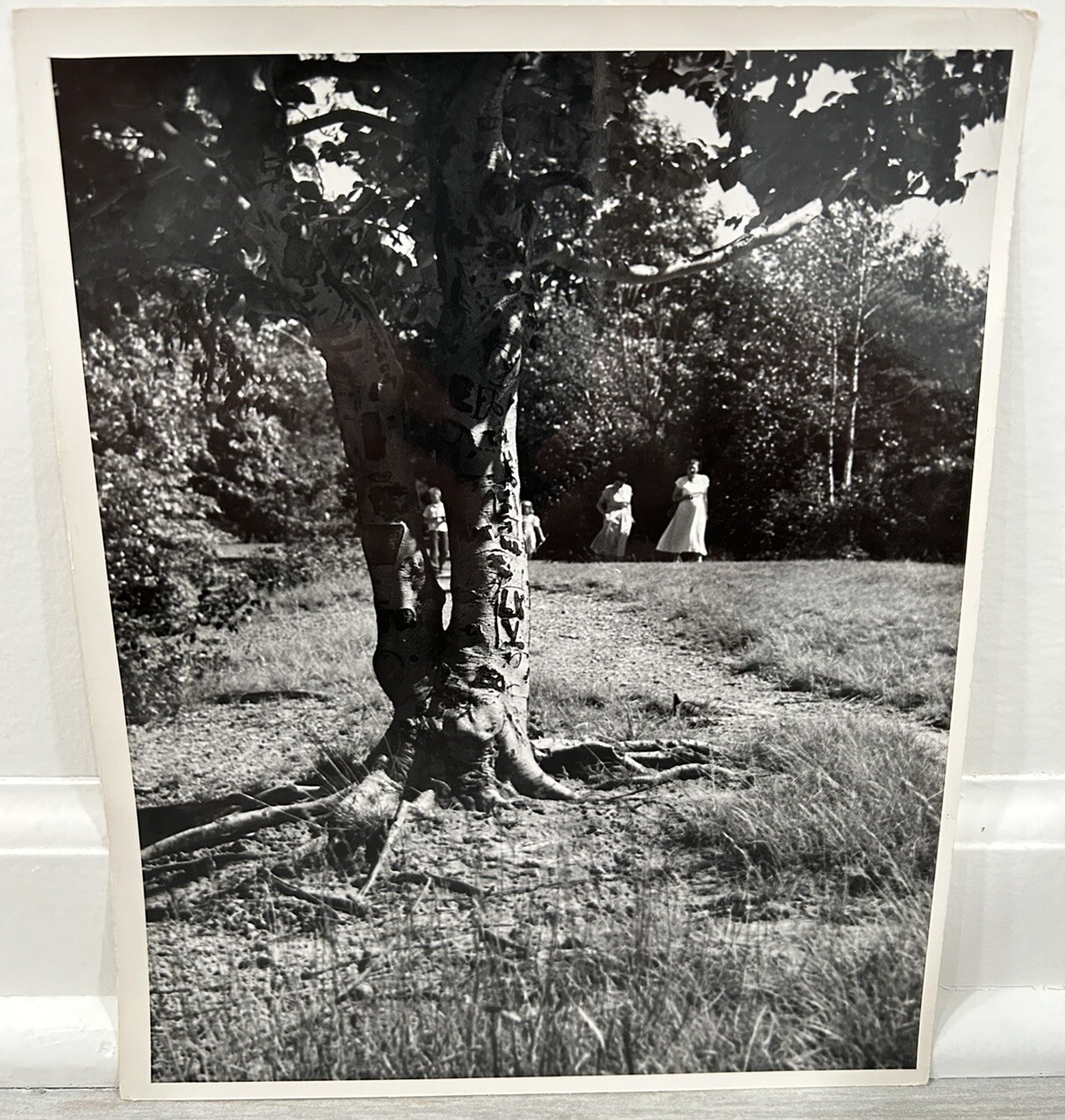 Arthur Gray Standard Oil Photographer Cleveland Ohio Americana People in Woods!!