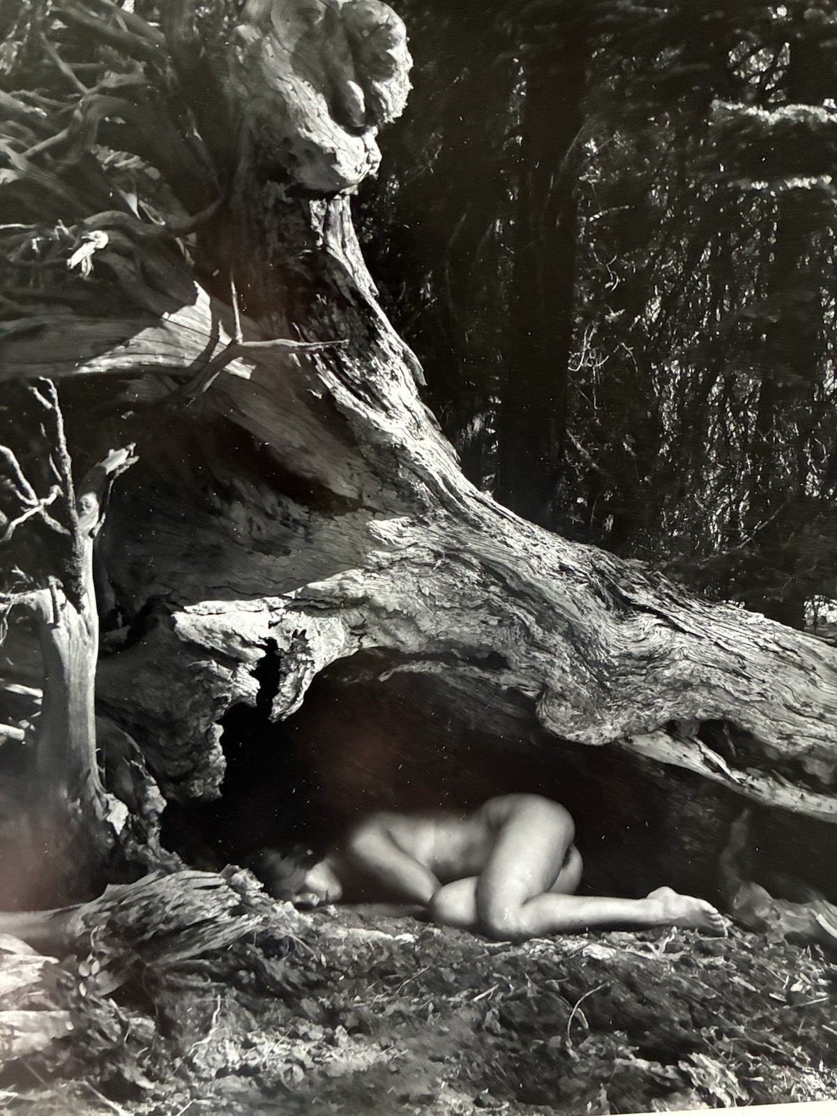 Cole Weston 1979 Gelatin Silver Photograph “Lake Almaden” Stamped Dated