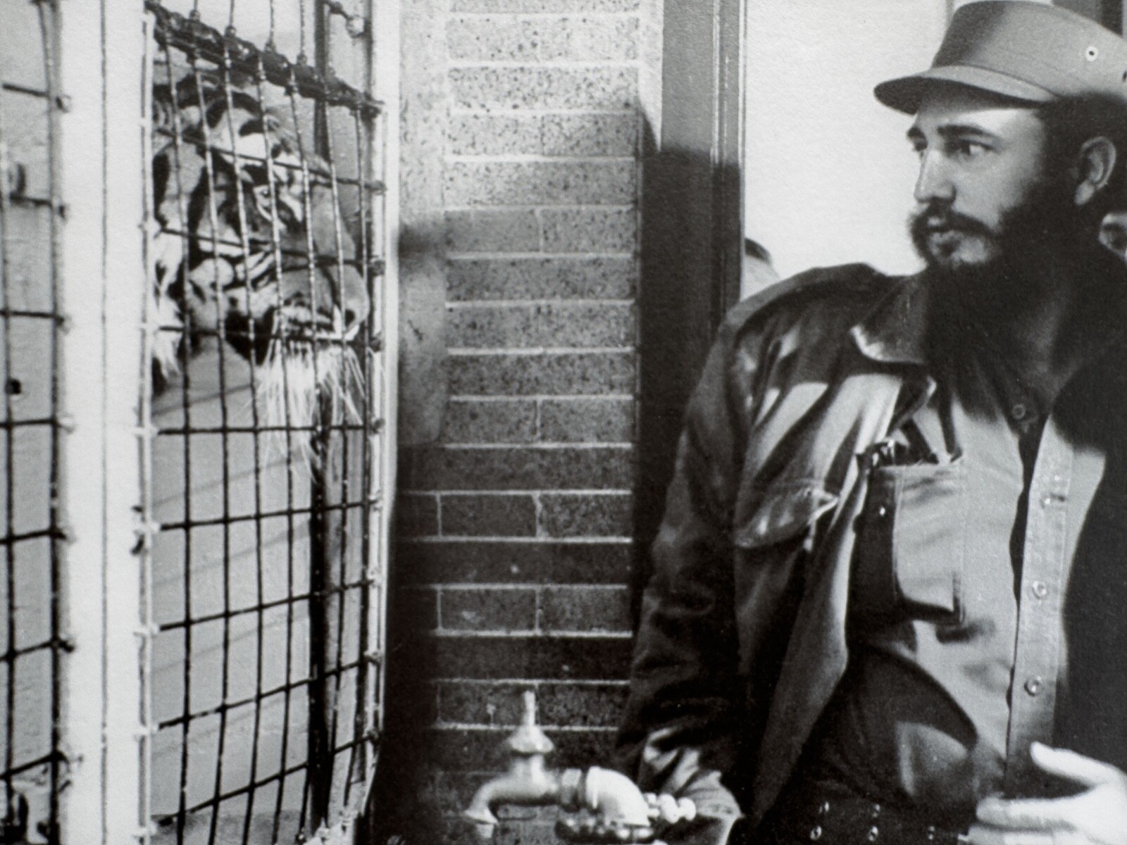 Fidel Castro and the Caged Tiger – Symbolic Moment by Korda Vintage Print