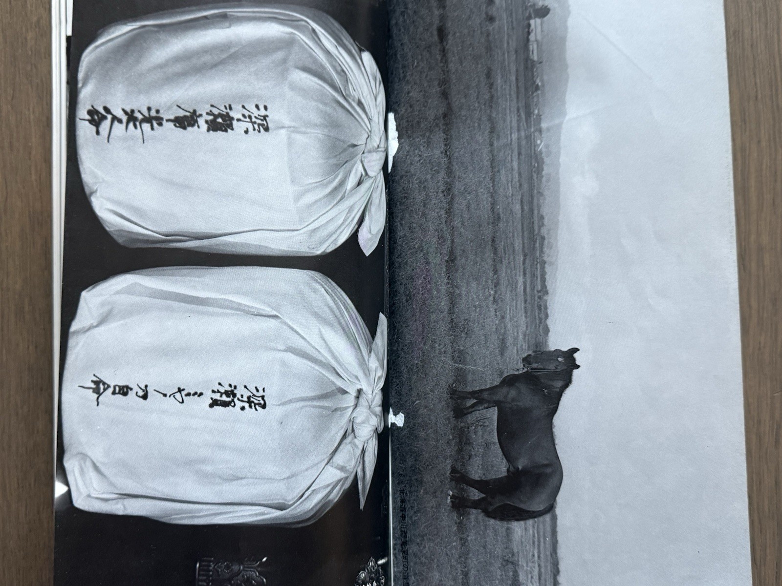 🎈Super RARE! Daido Moriyama – WORKSHOP No. 5, 1975, Araki, Takuma Nakahira