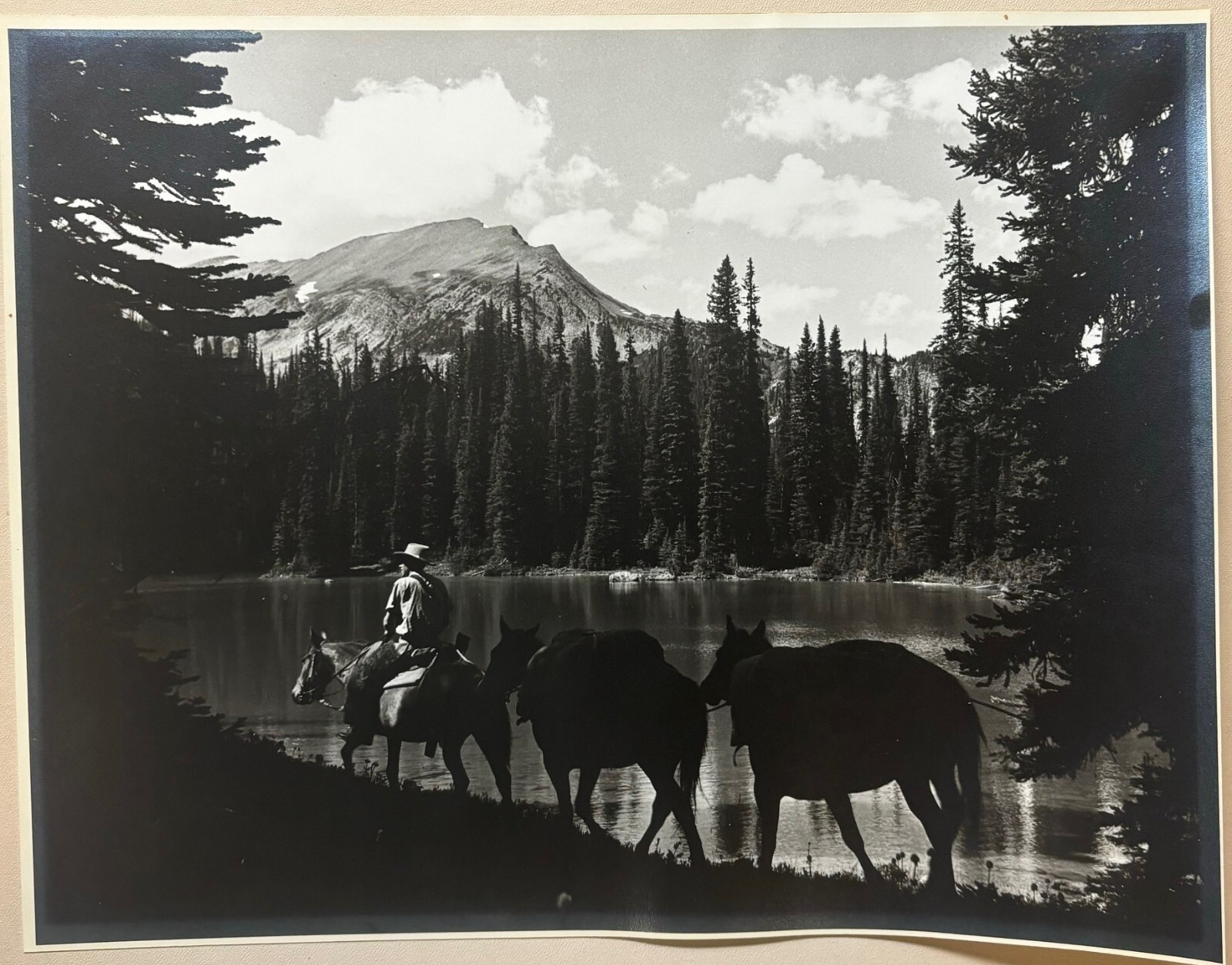 Original HARRY ROWED ‘Morning in the Valley’ Horseback in CANADA Mountains PHOTO