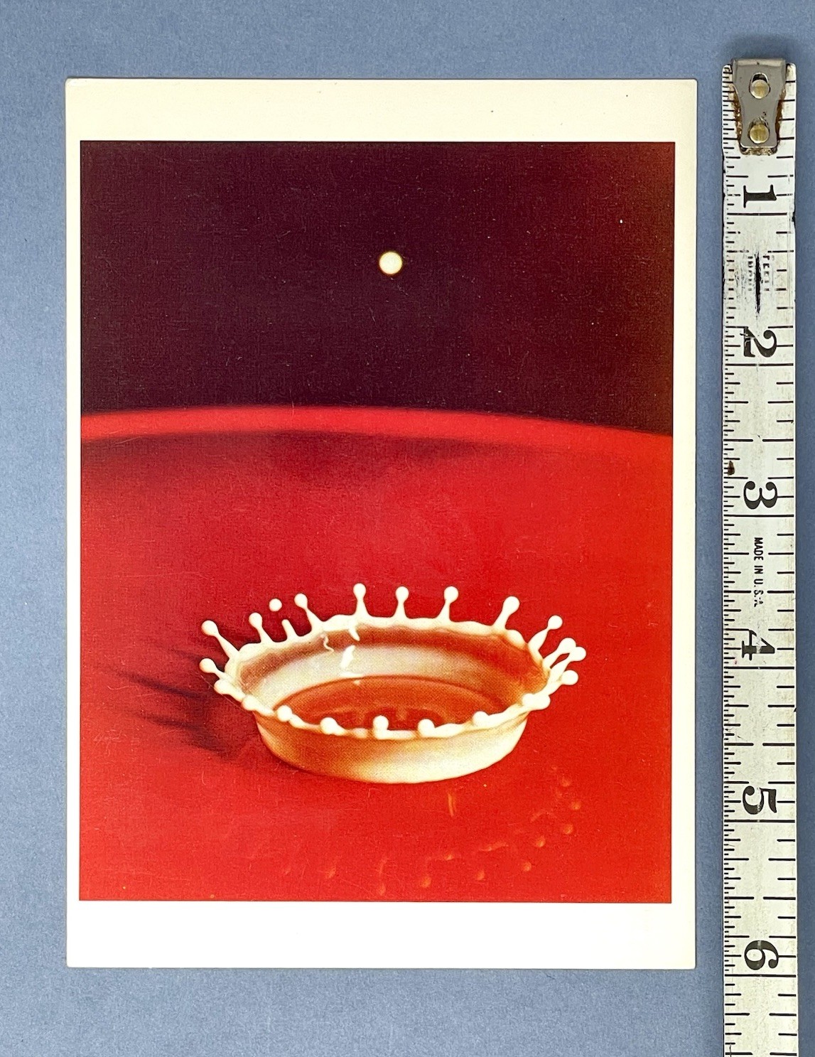 Milk Drop Coronet By Harold D. Edgerton Fotofolio Art Print Card 1988